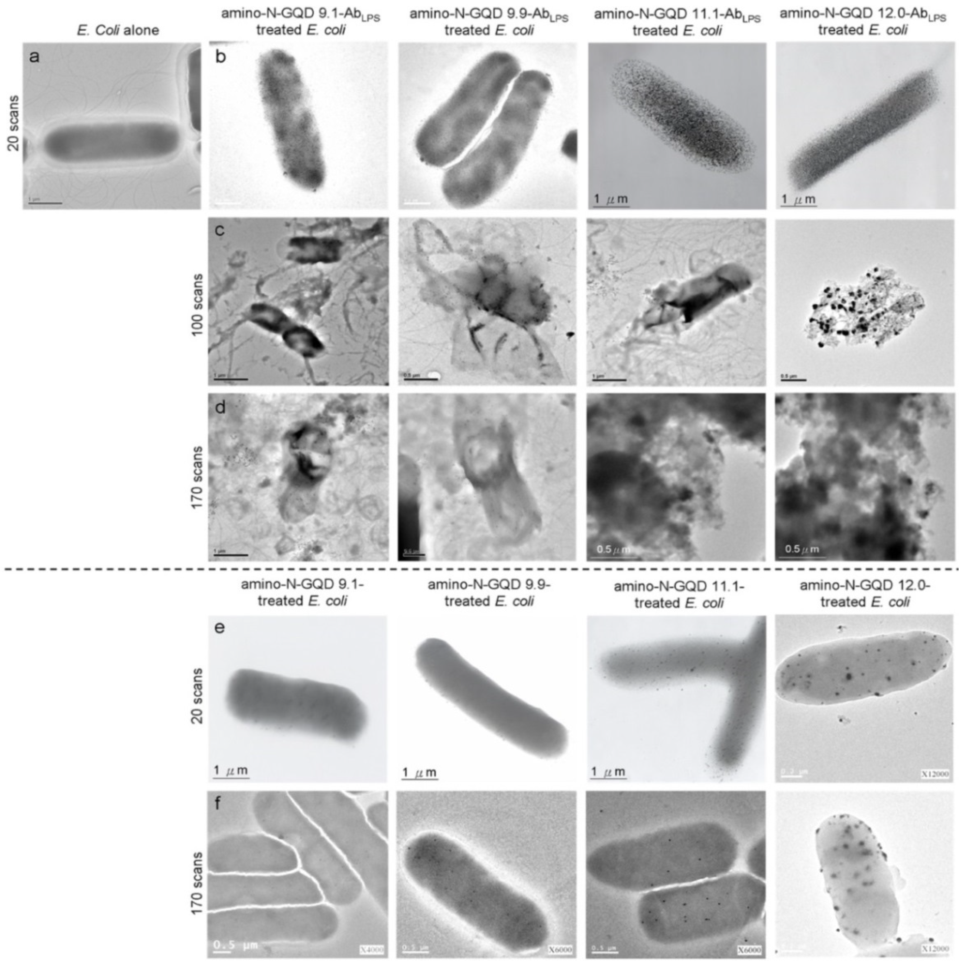 Ijms 23 03230 g004 550