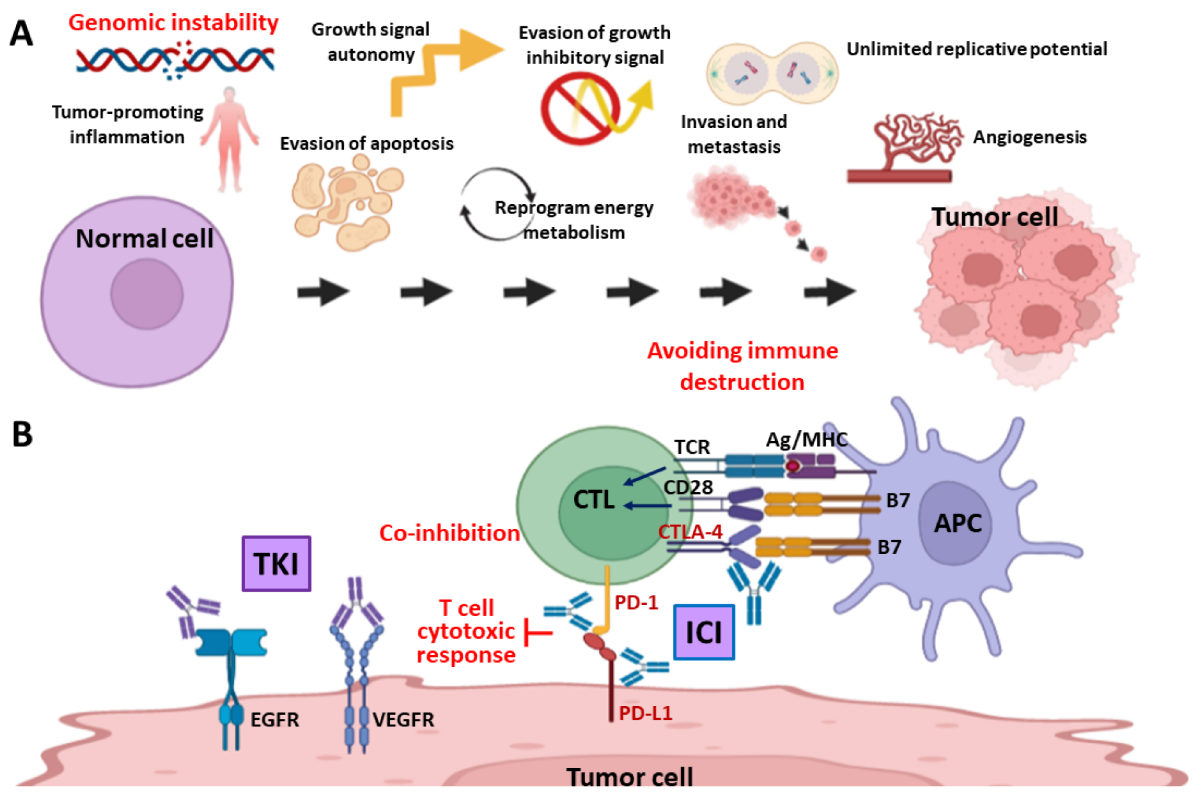 Ijms Free Full Text Targeting Dna Damage Response And Immune