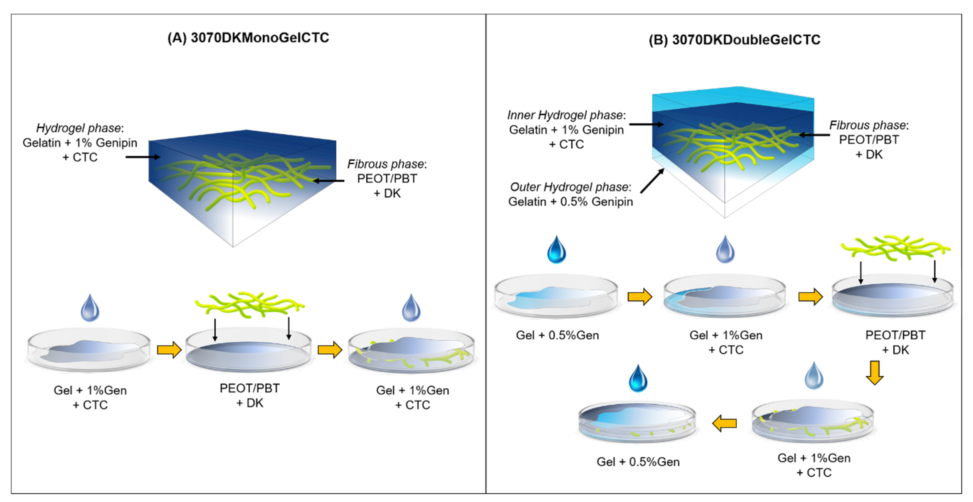 Ijms 23 03239 g001 550