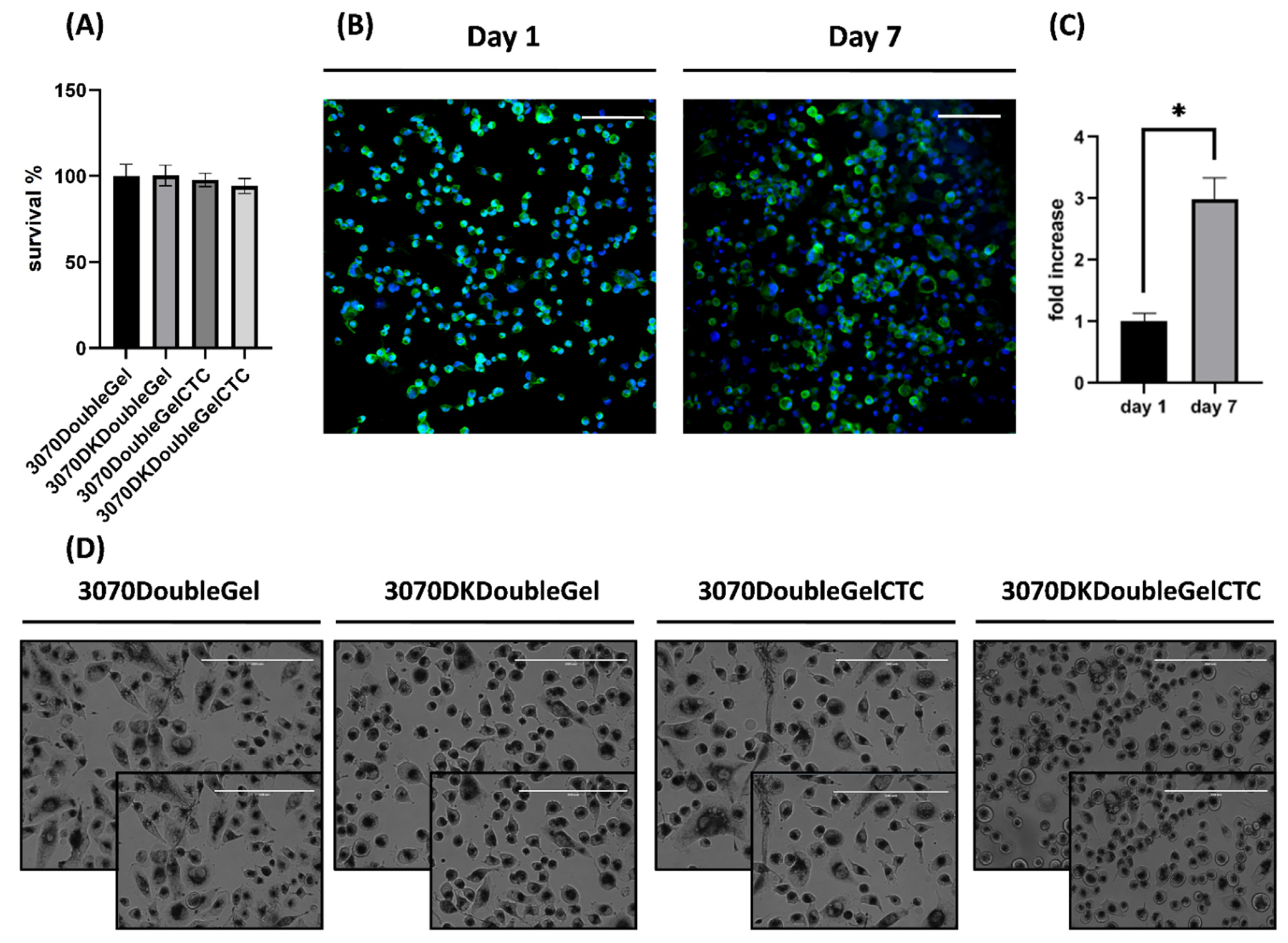 Ijms 23 03239 g006 550