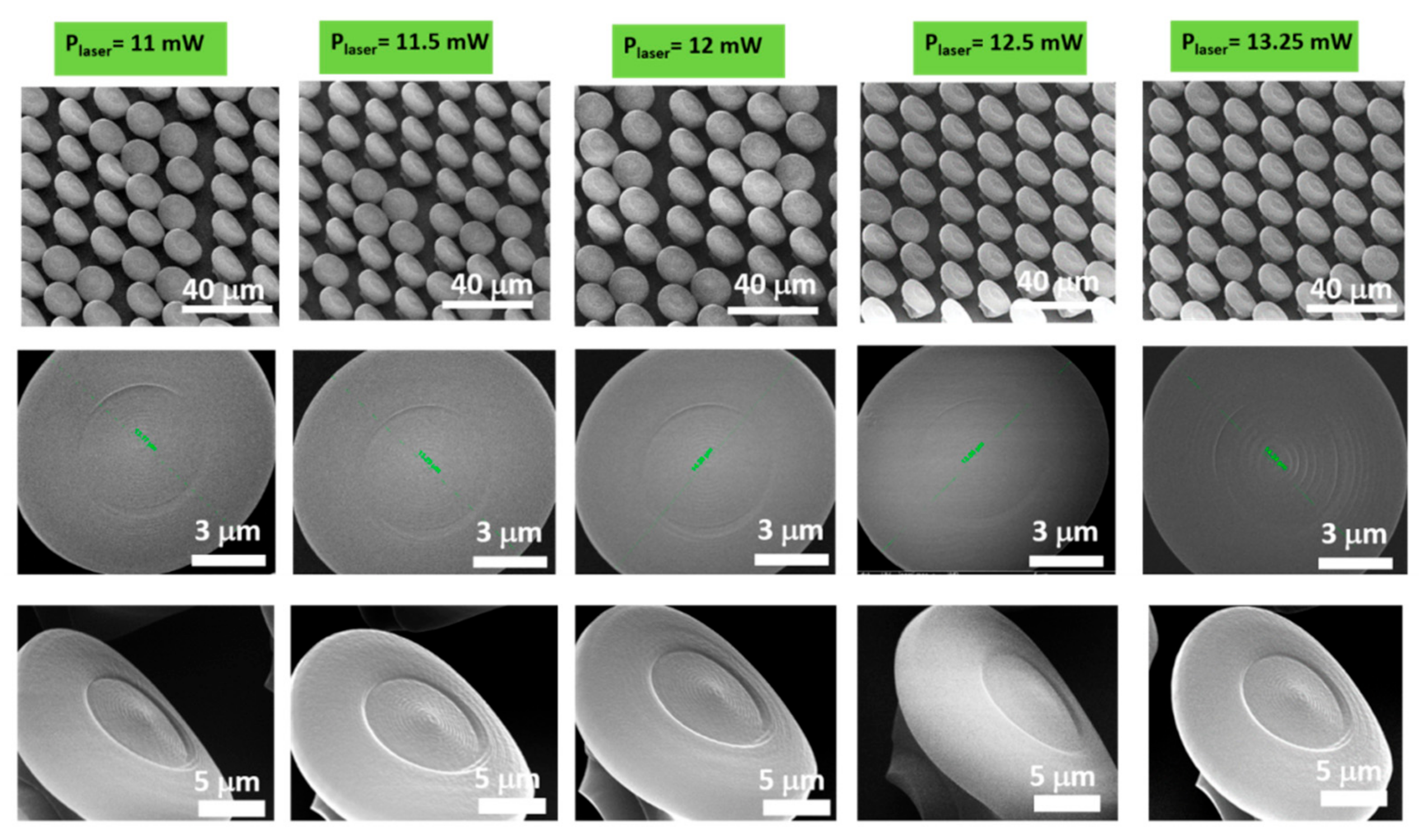 Ijms 23 03247 g002 550