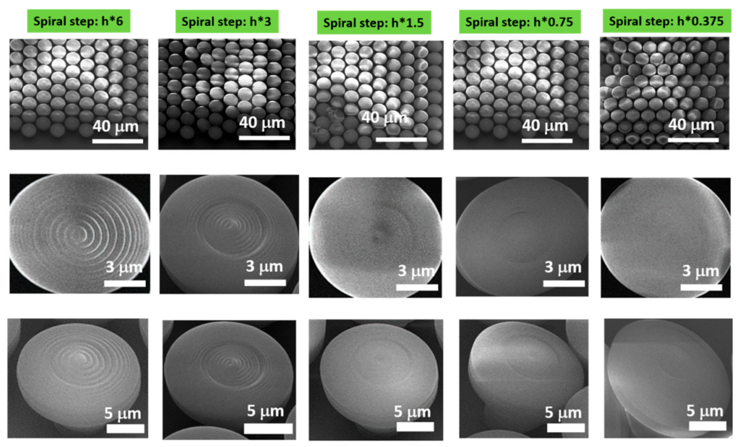 Ijms 23 03247 g003 550