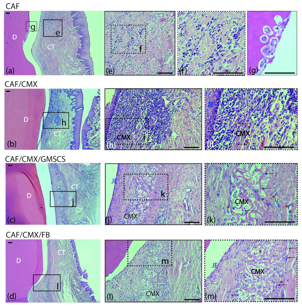 Ijms 23 03248 g002 550