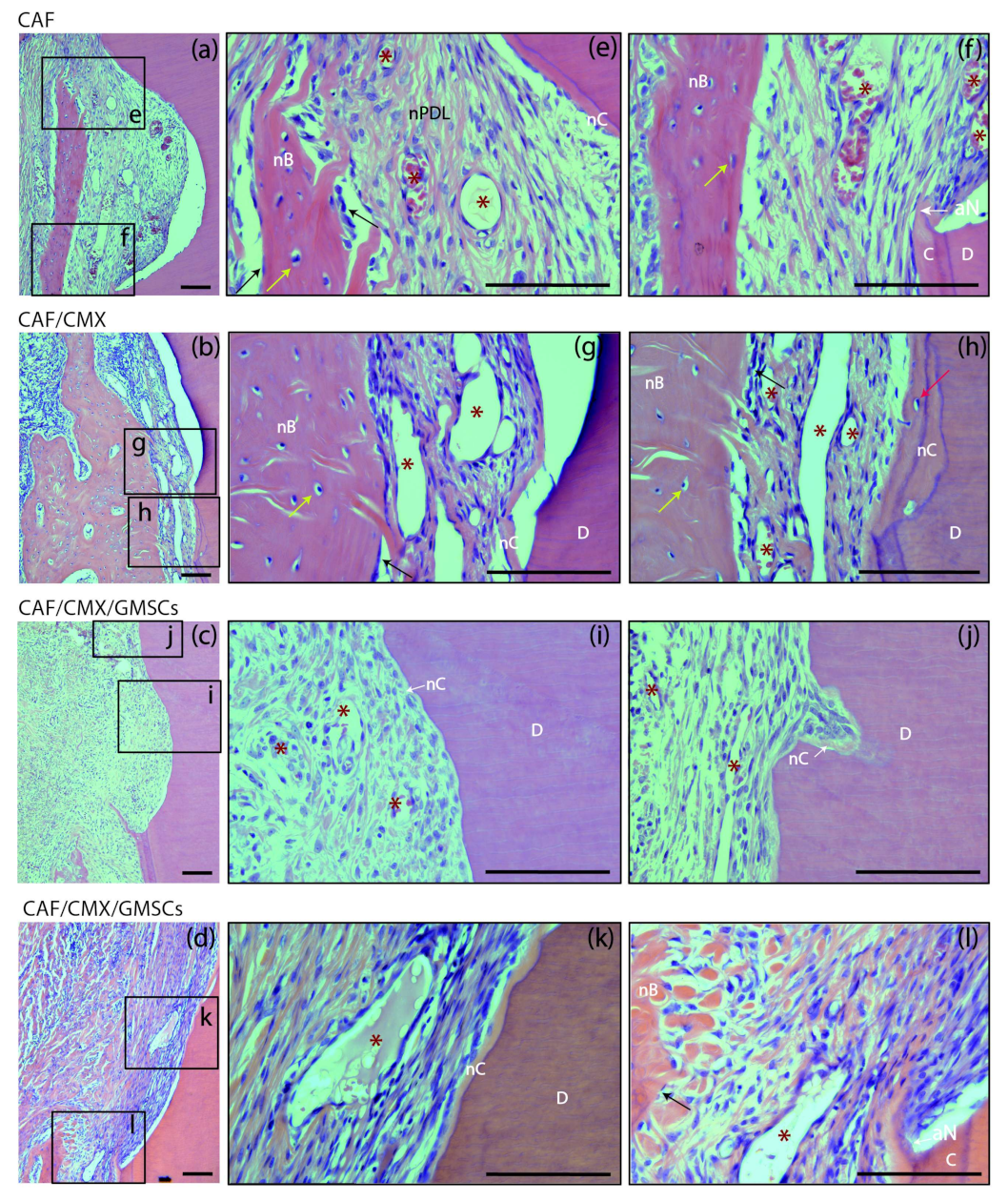 Ijms 23 03248 g004 550