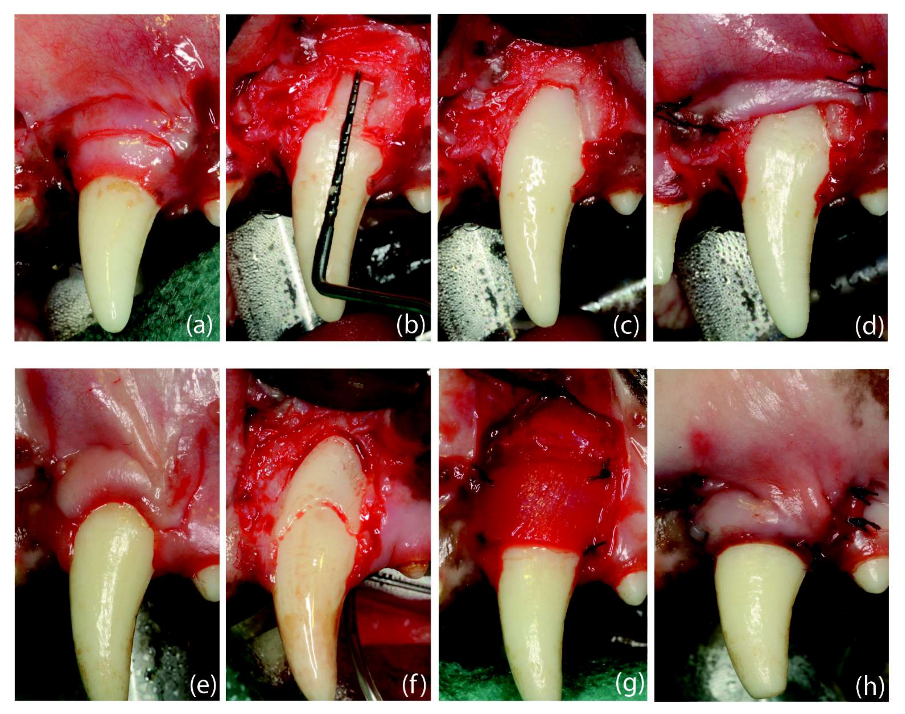 Ijms 23 03248 g005 550