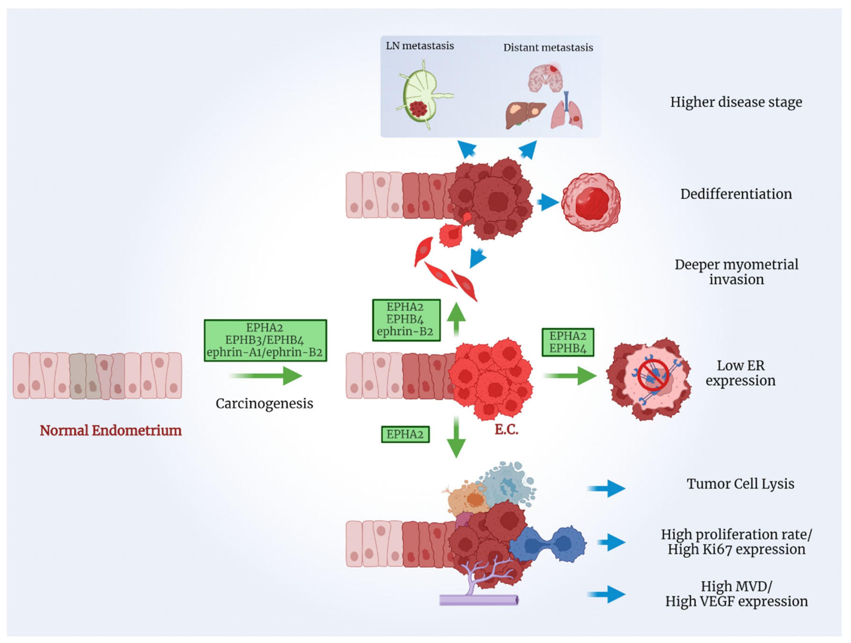 Ijms 23 03249 g003 Ijms 23 03249 g003