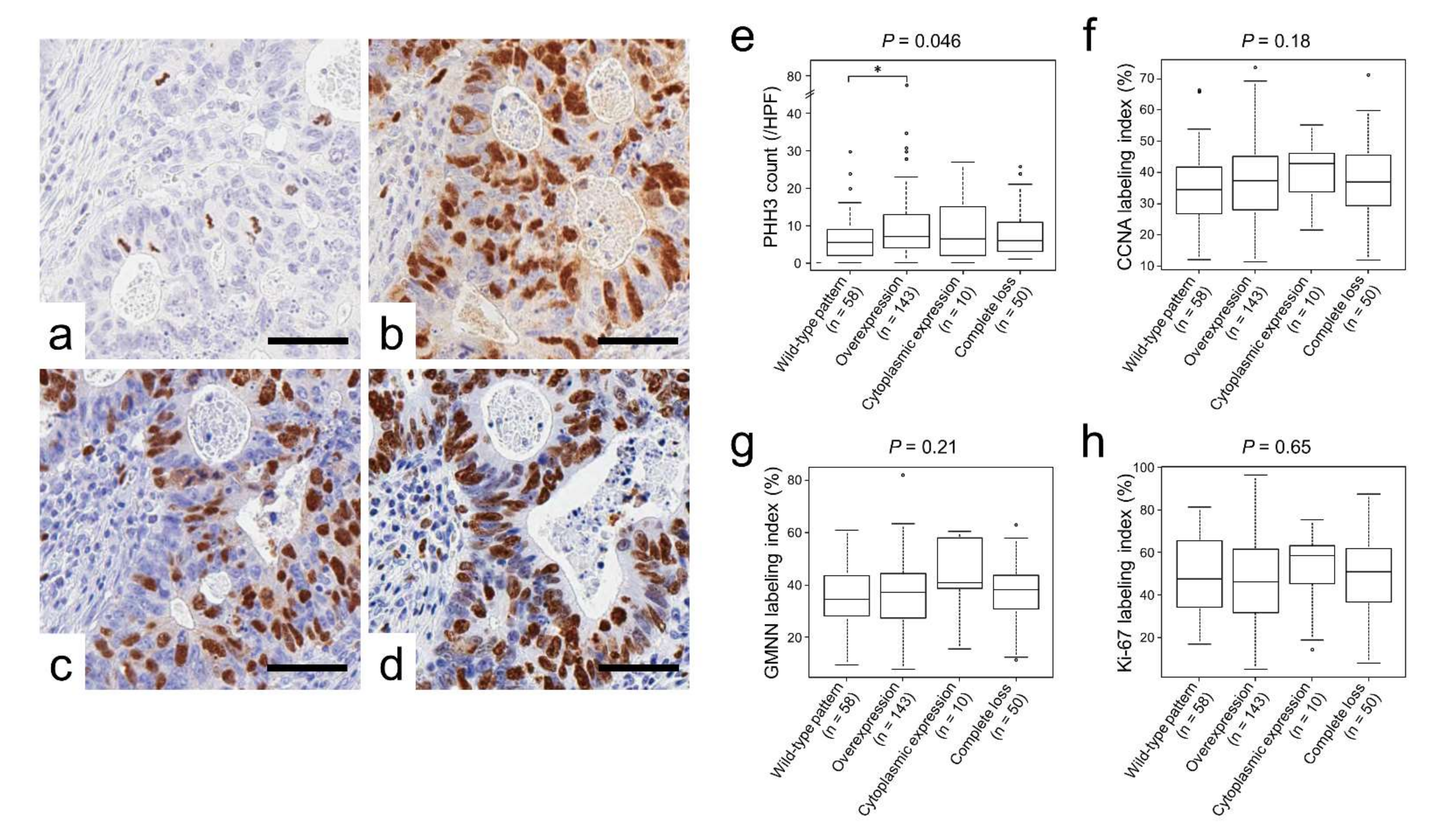 Ijms 23 03252 g003 550