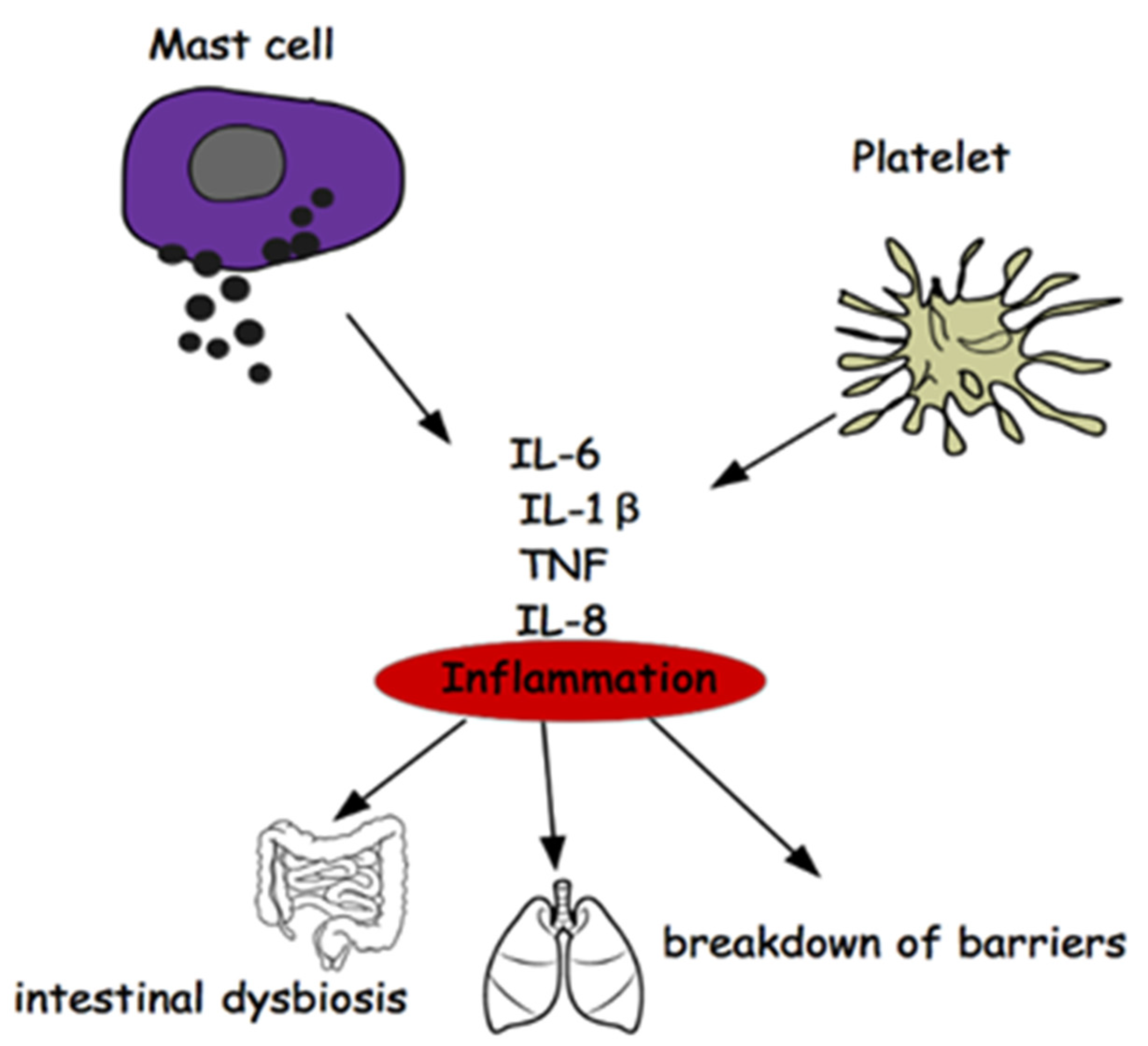Ijms 23 03253 g003 Ijms 23 03253 g003