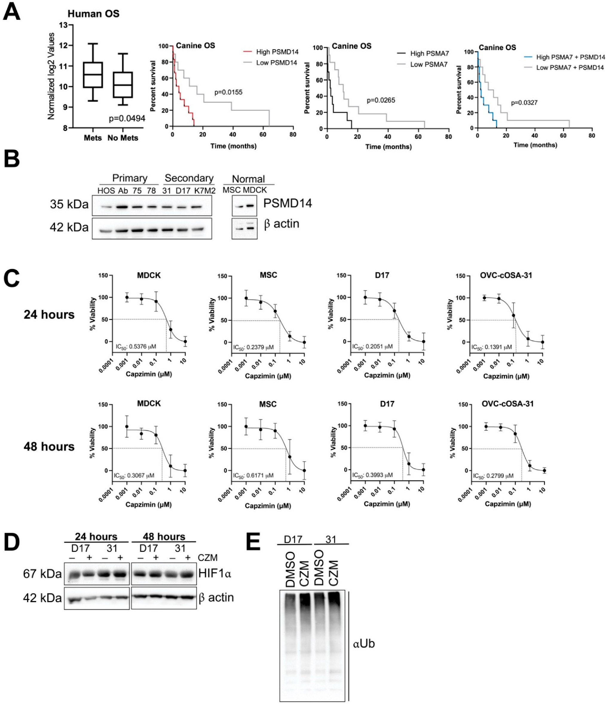 Ijms 23 03256 g003 550