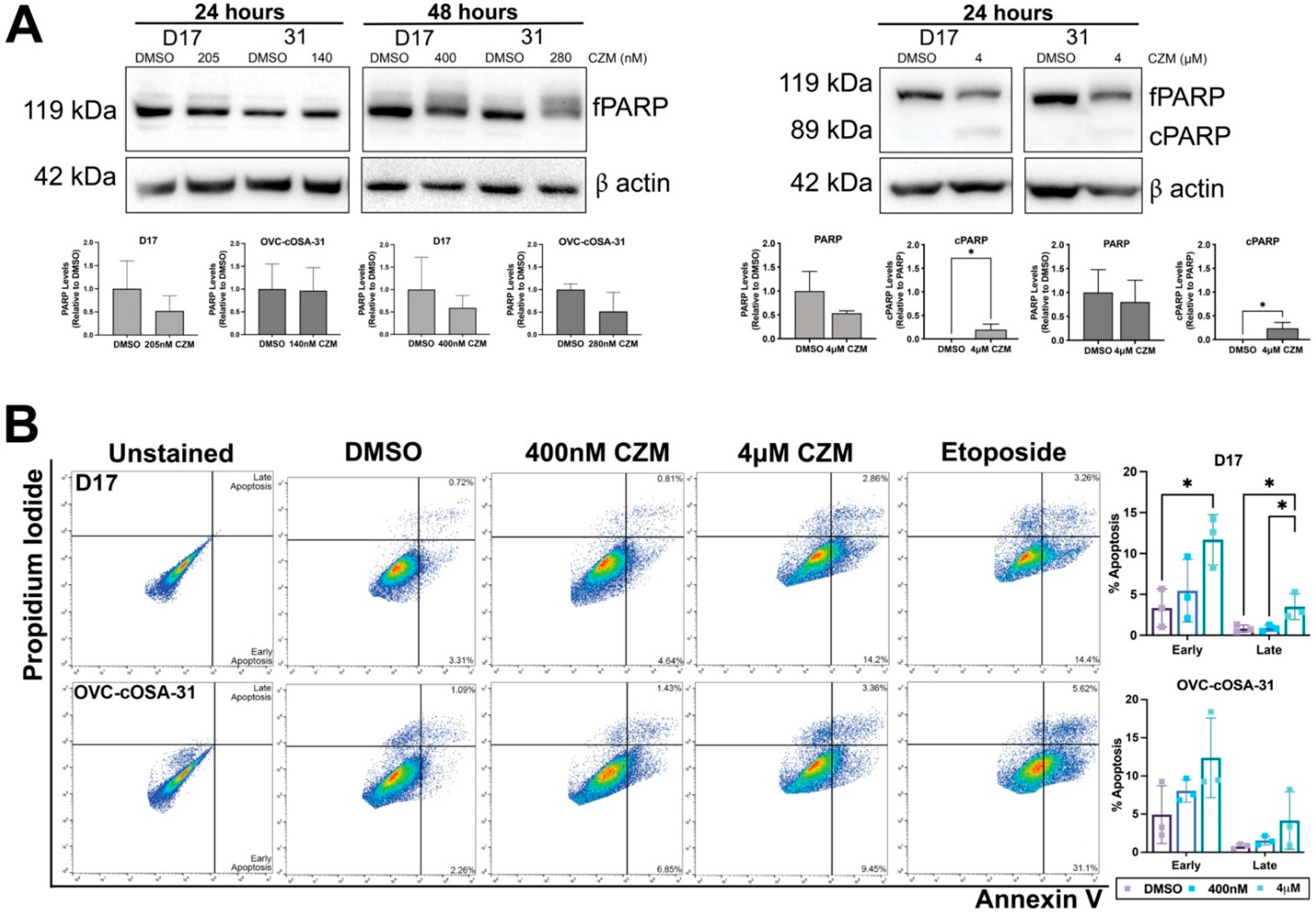 Ijms 23 03256 g004 550