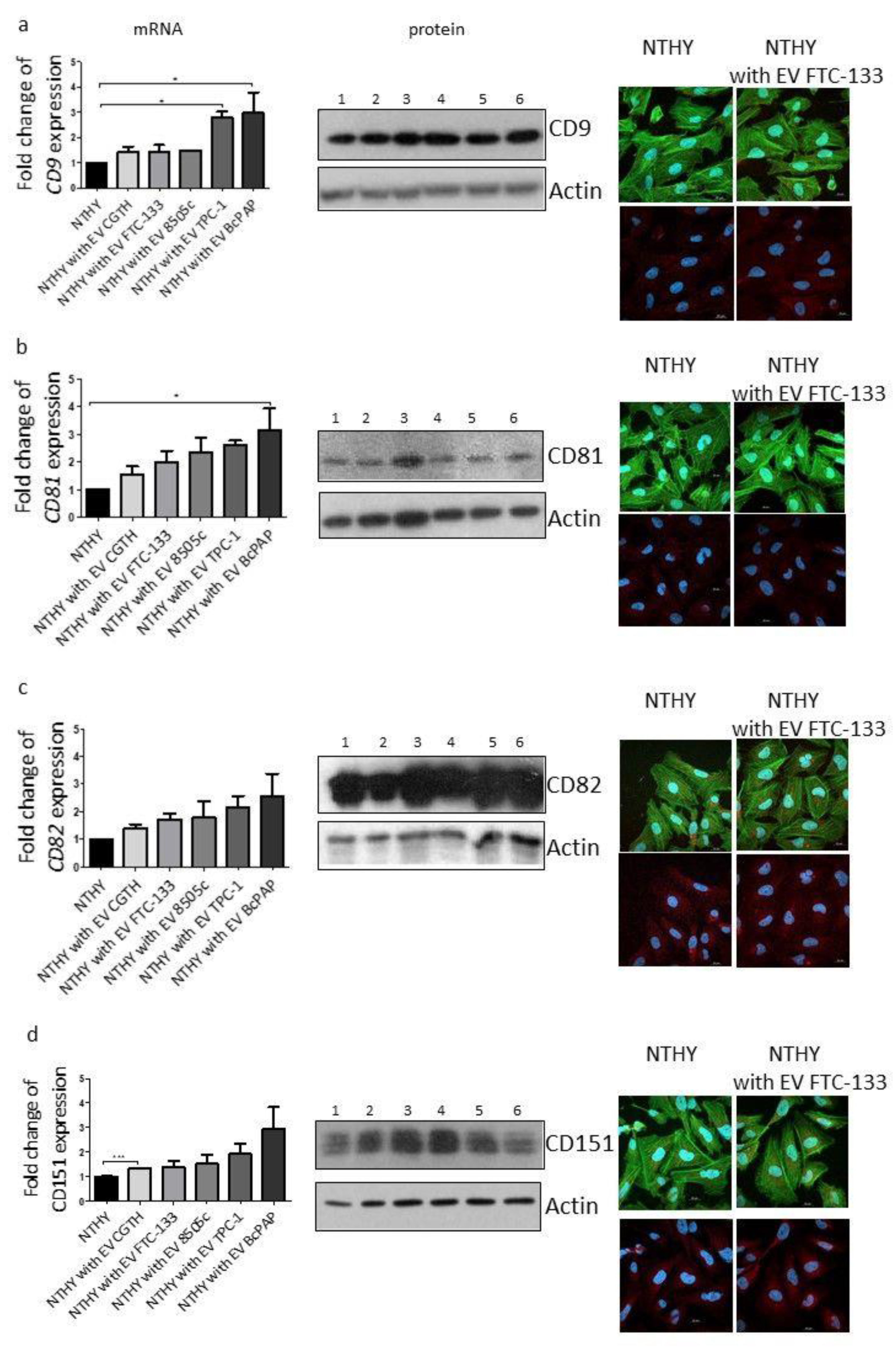 Ijms 23 03262 g005 550