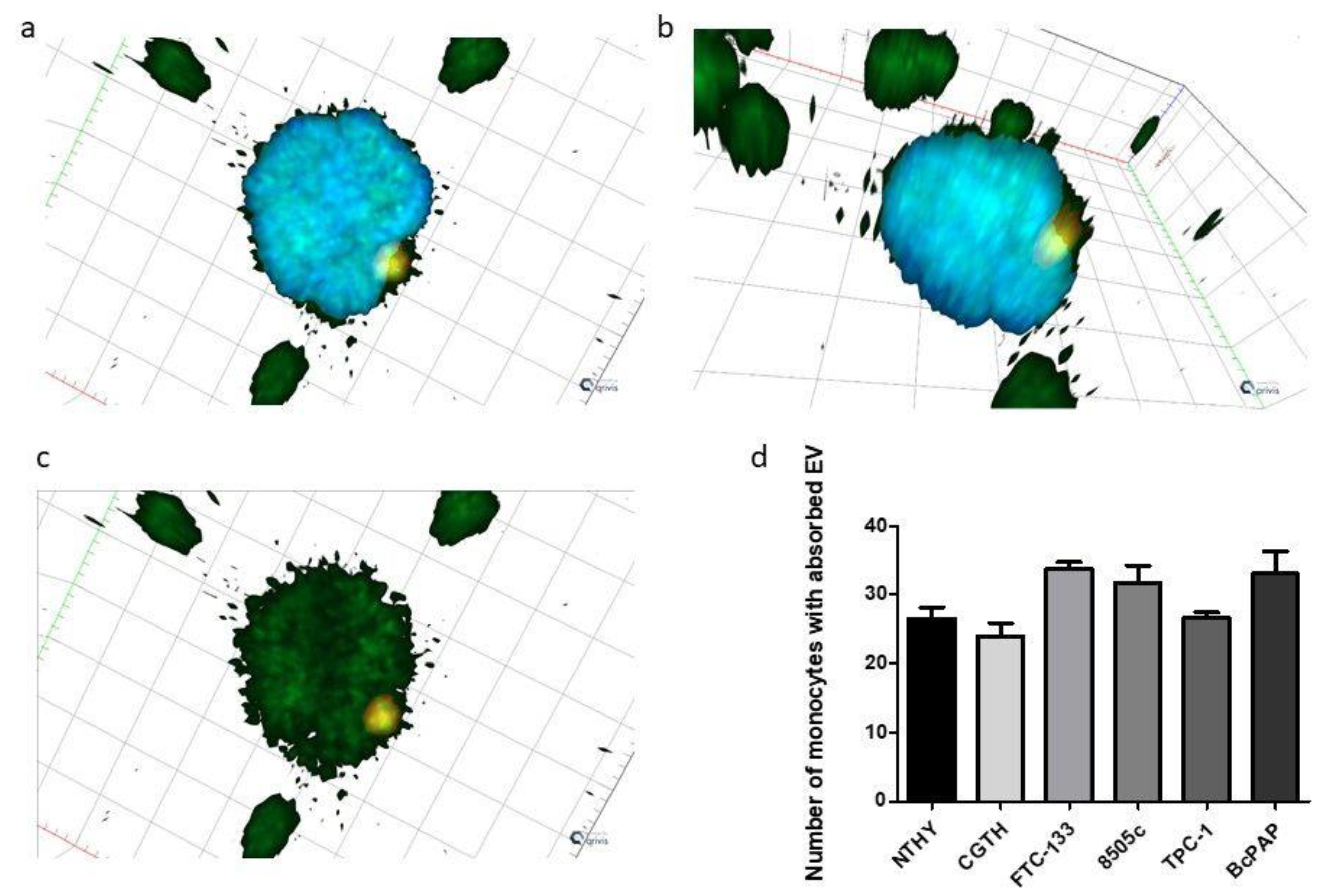 Ijms 23 03262 g008 550