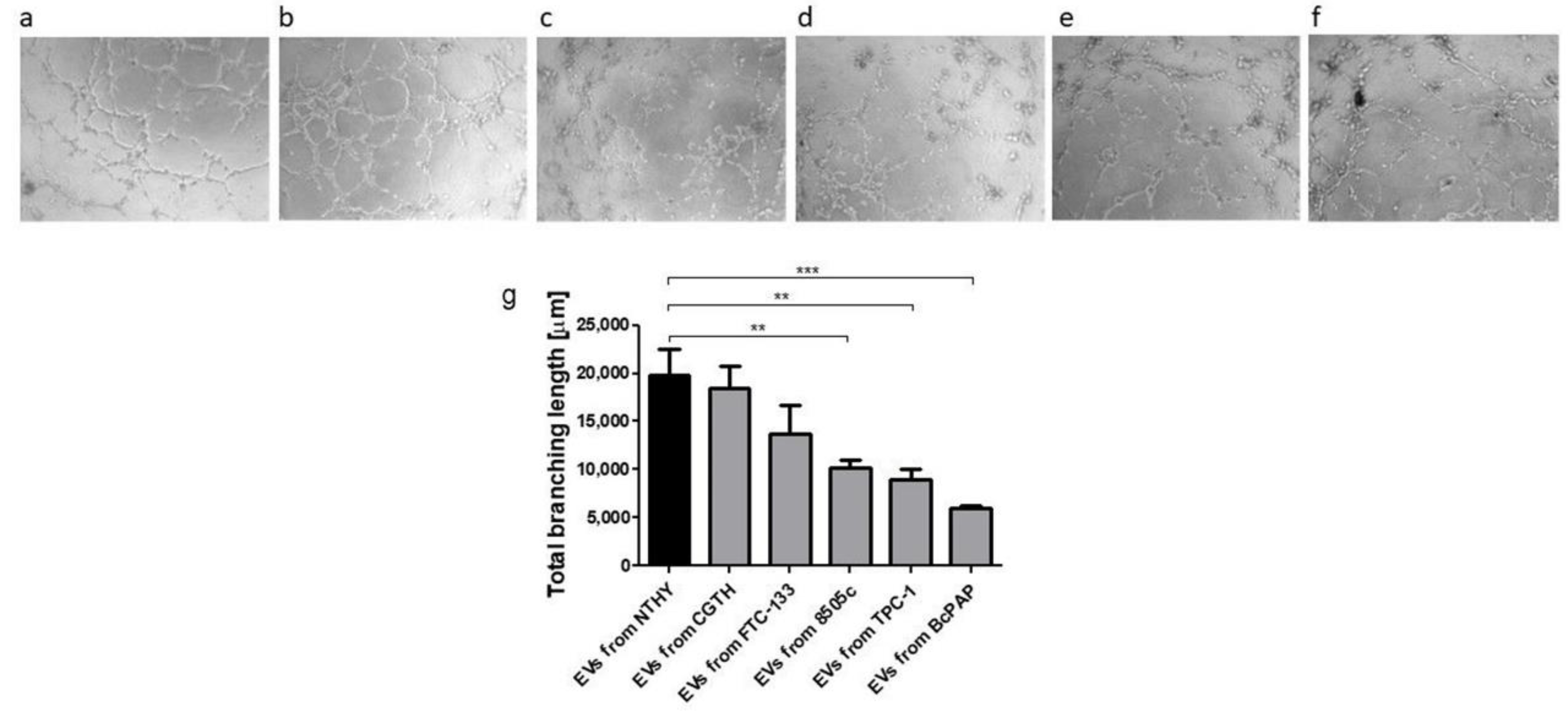 Ijms 23 03262 g009 550
