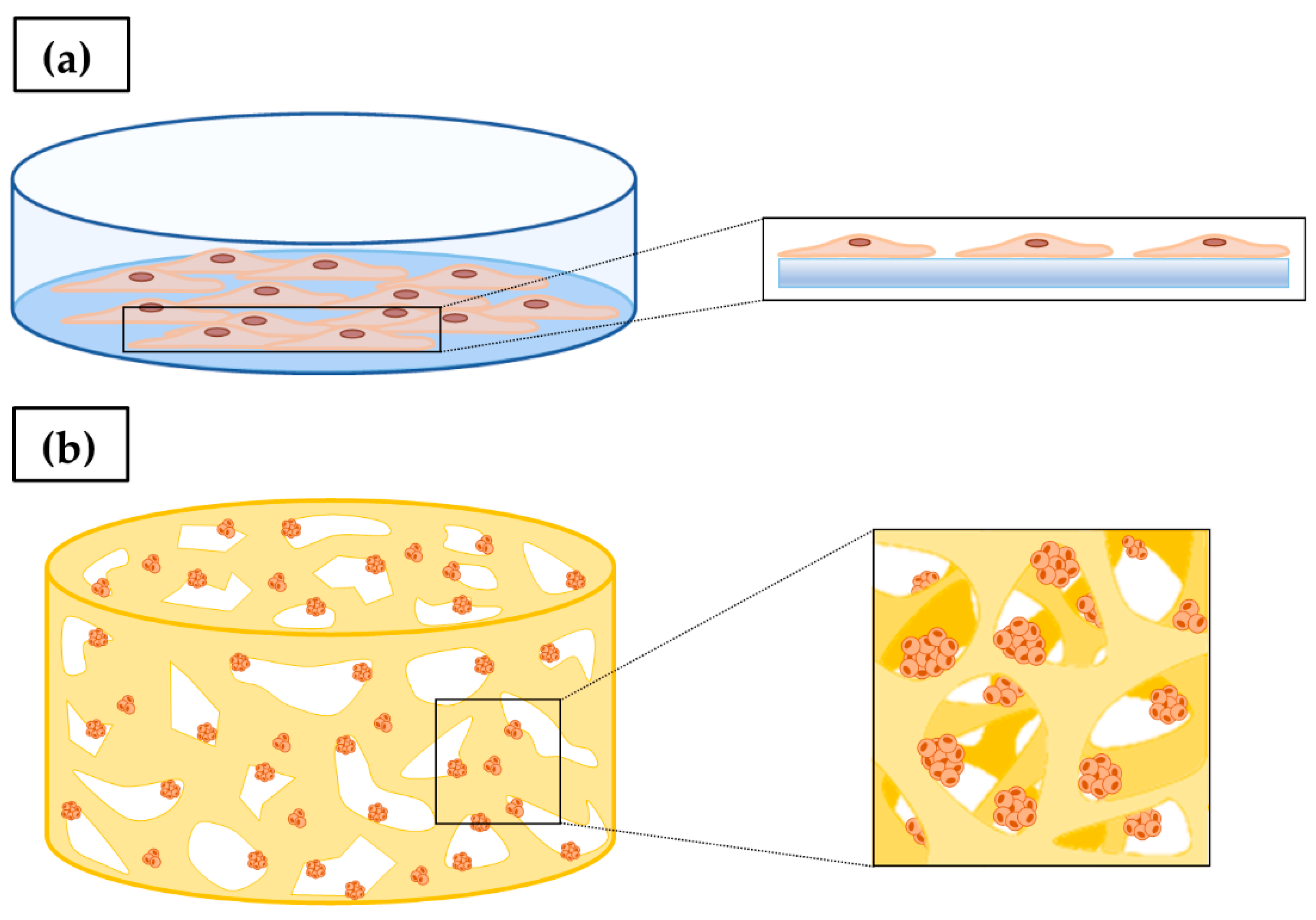 Ijms 23 03265 g003 550