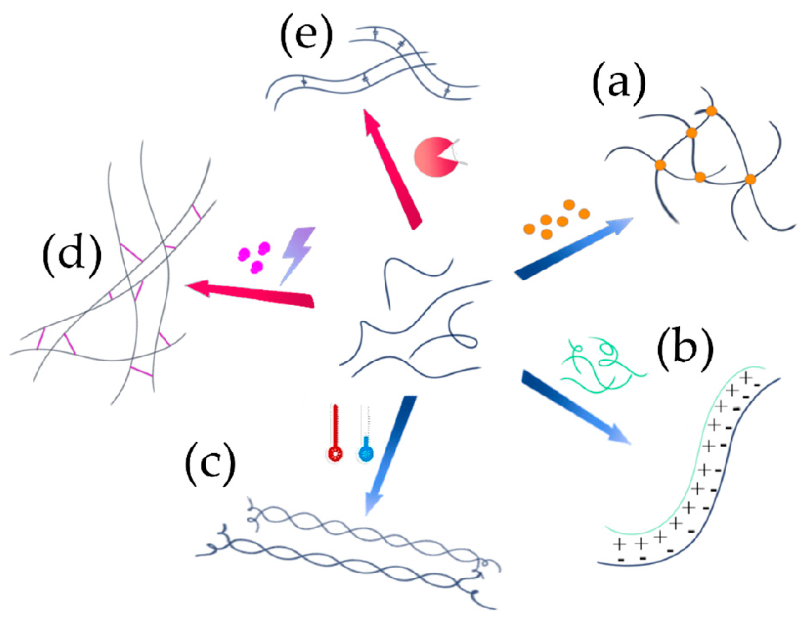 Ijms 23 03265 g004 550