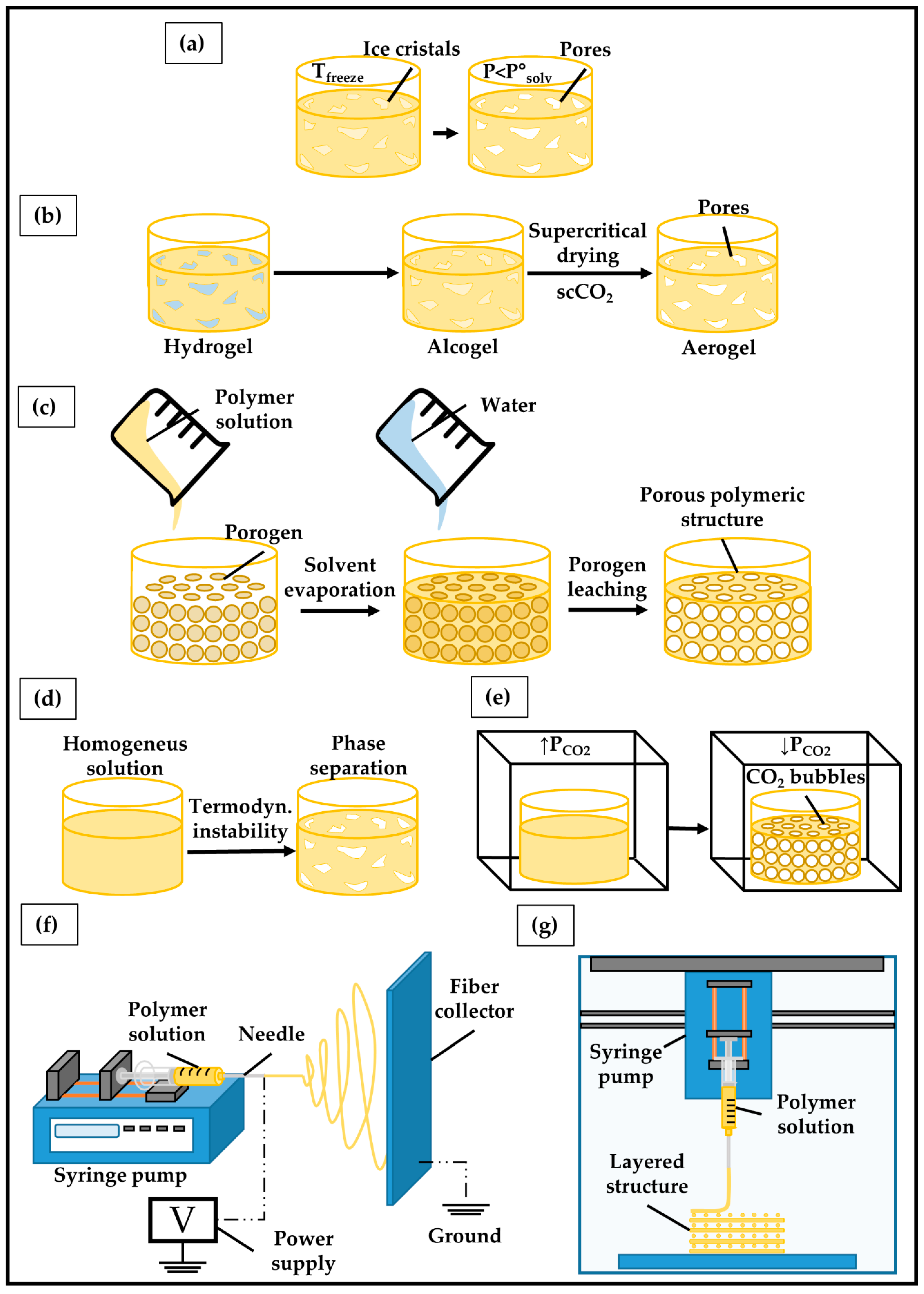 Ijms 23 03265 g006 550