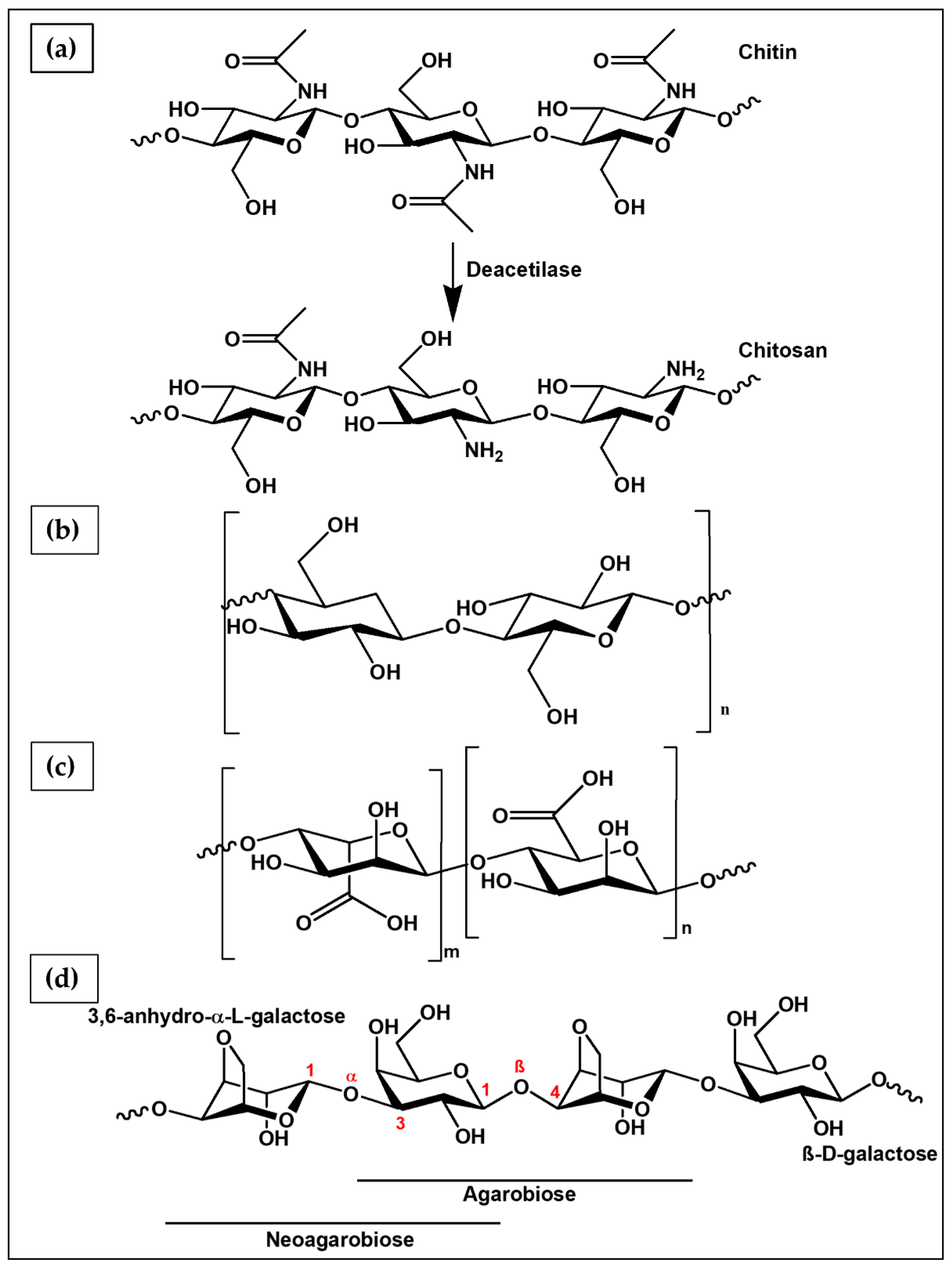 Ijms 23 03265 g008 550