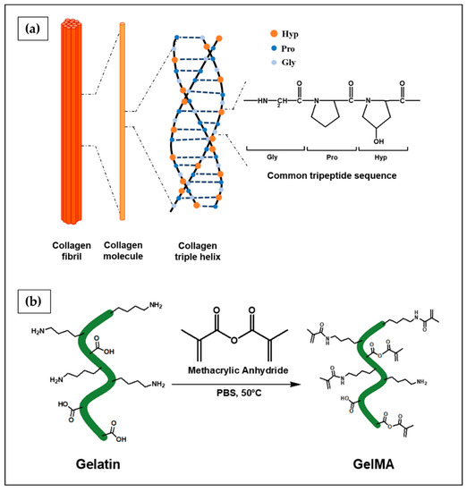 Polymeric Hydrogels for In Vitro 3D Ovarian Cancer Modeling