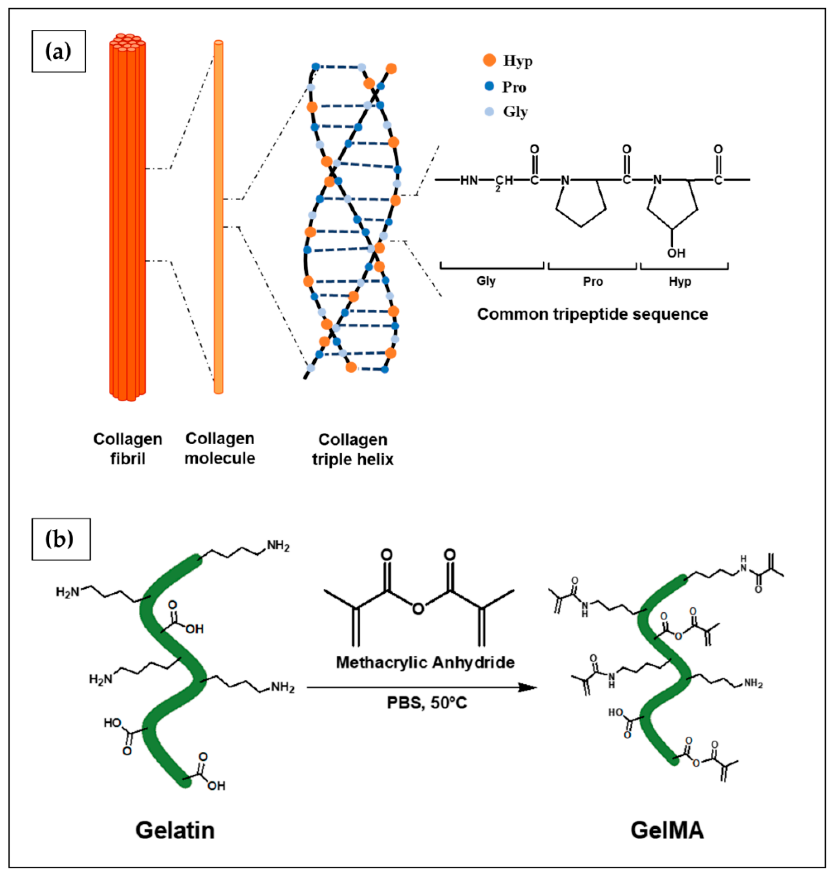Ijms 23 03265 g011 550
