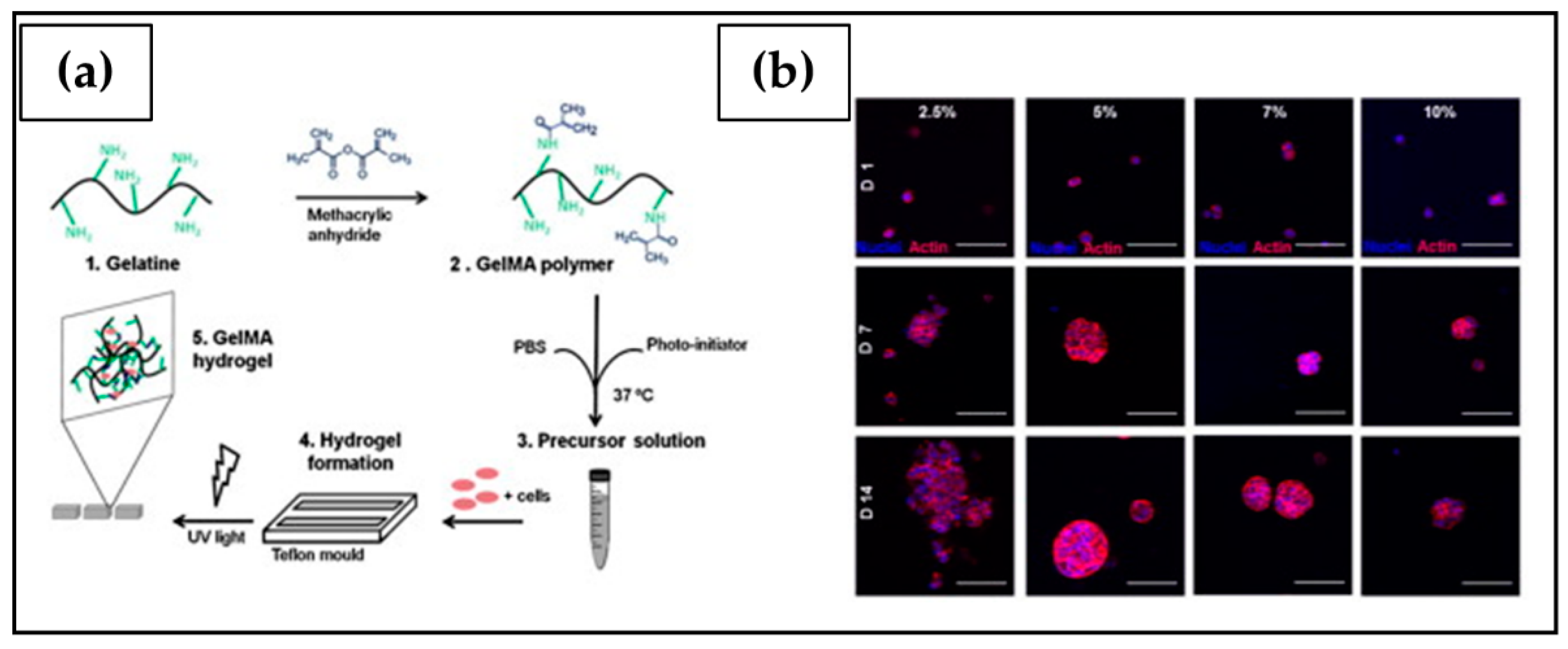 Ijms 23 03265 g013 550