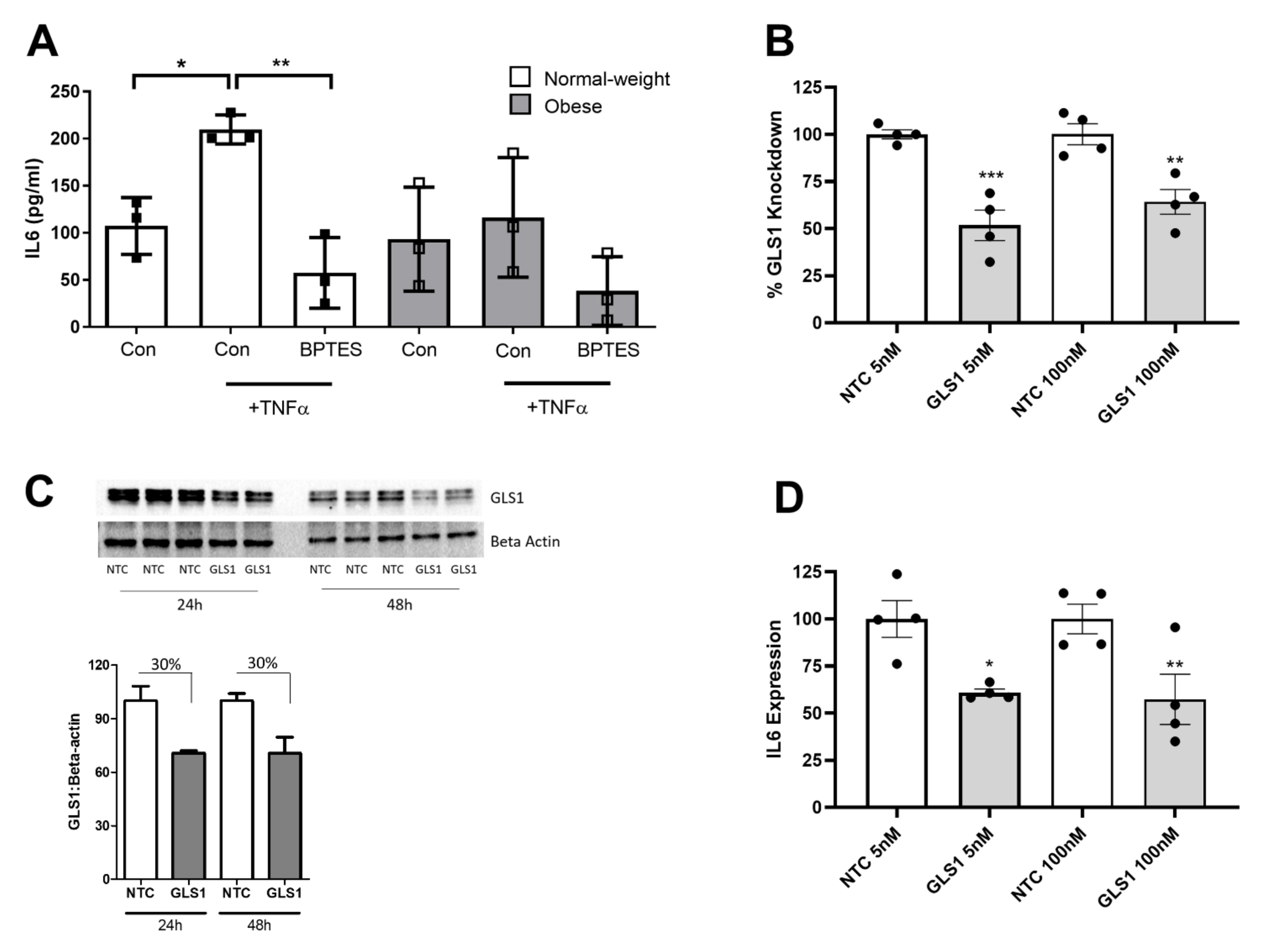 Ijms 23 03266 g005 550