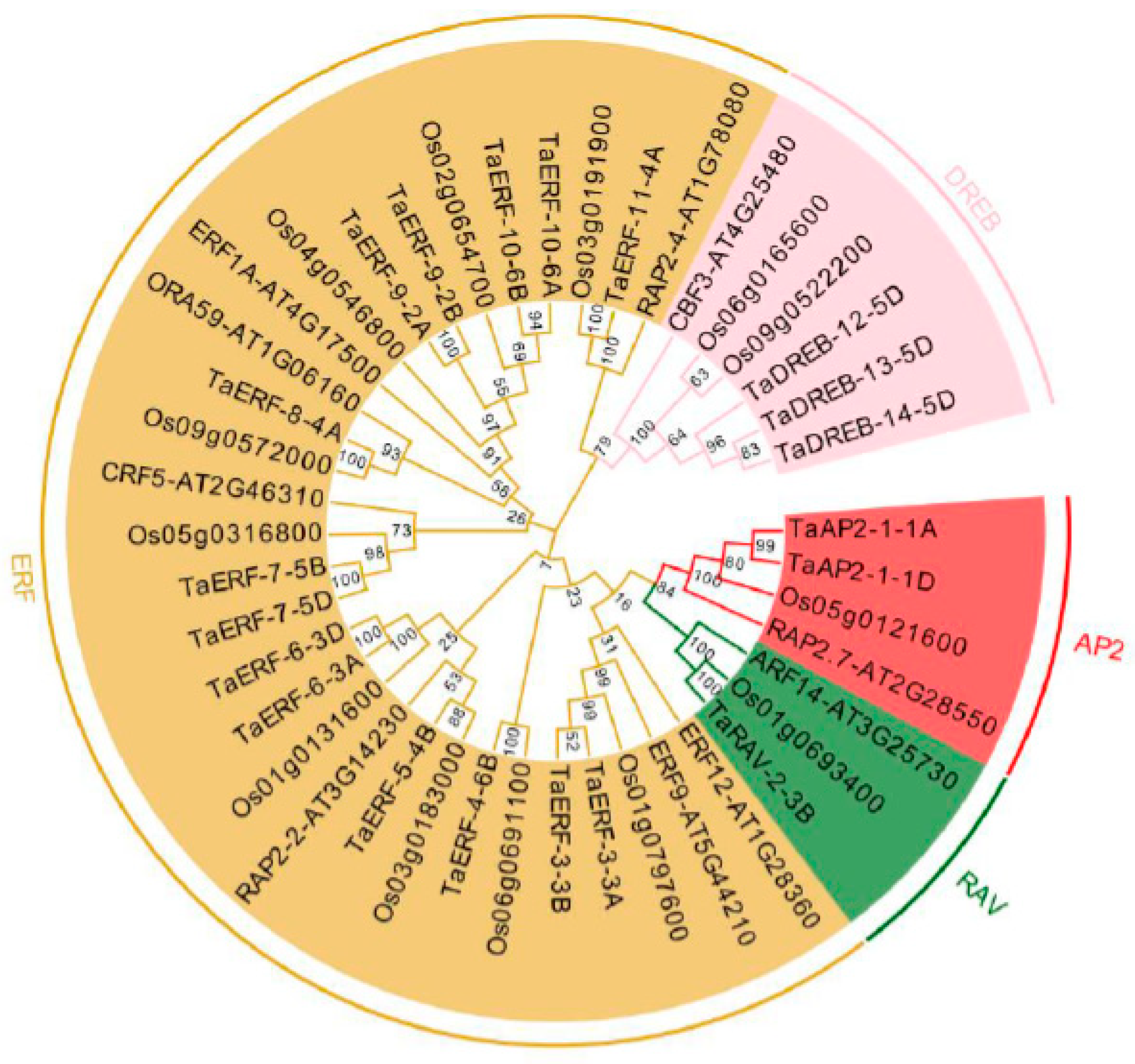 Ijms 23 03272 g002 550