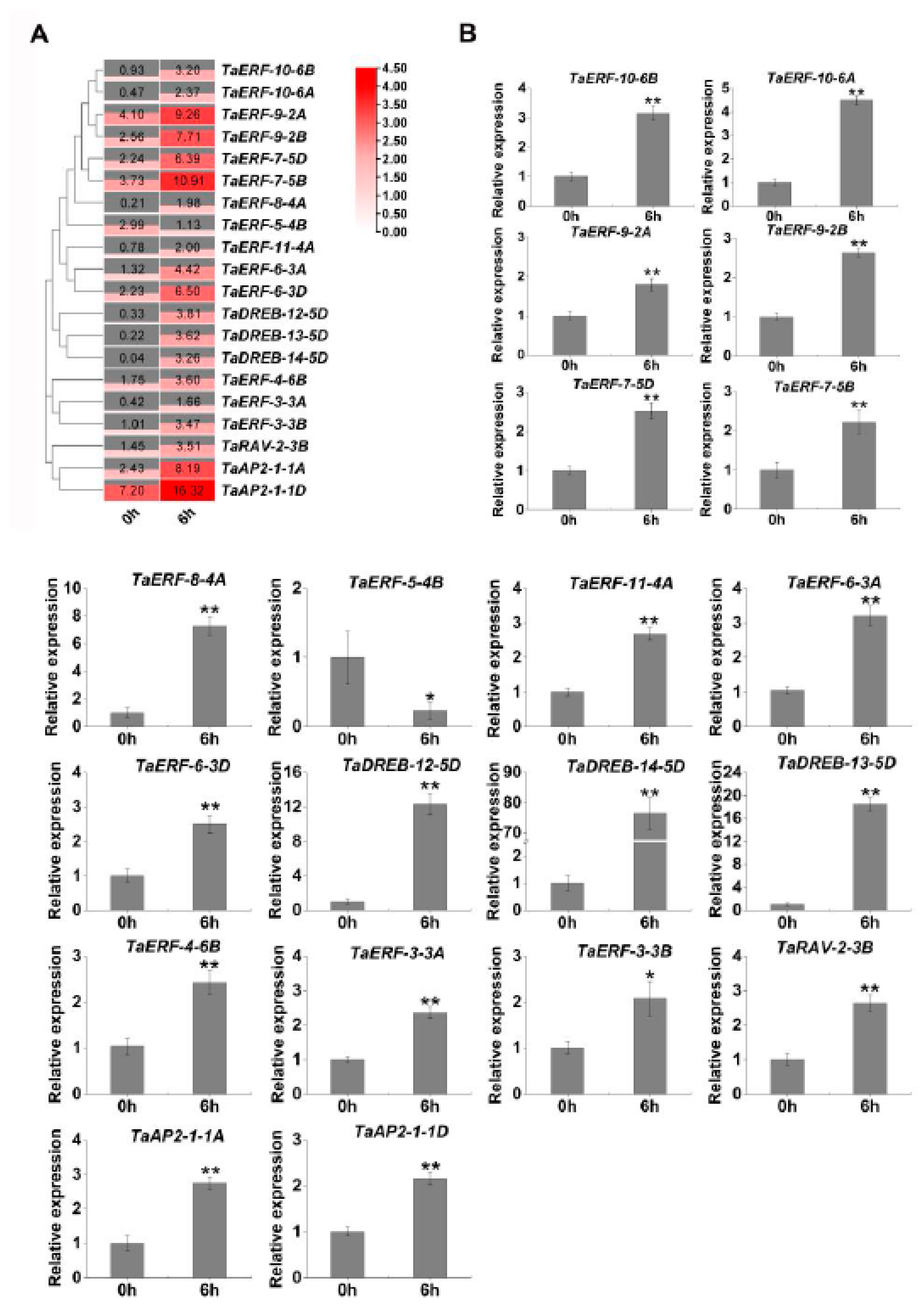 Ijms 23 03272 g005 550