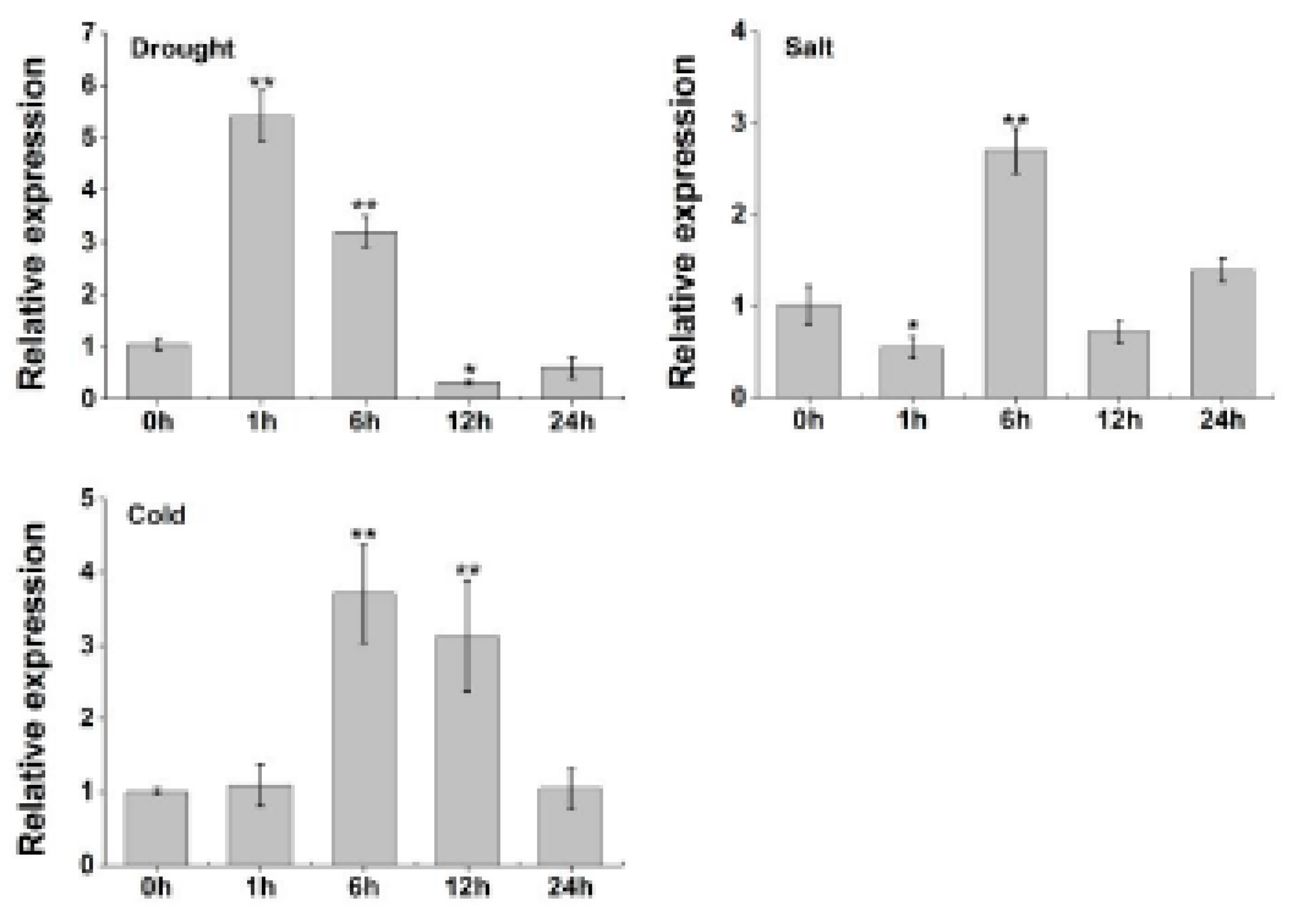 Ijms 23 03272 g008 550