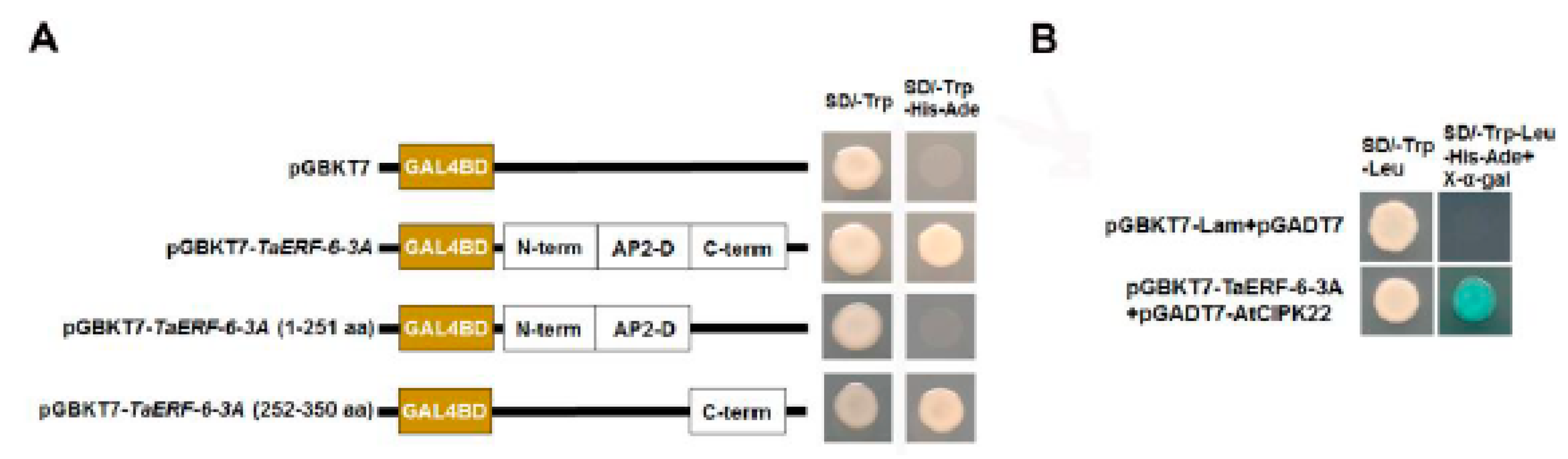 Ijms 23 03272 g013 550