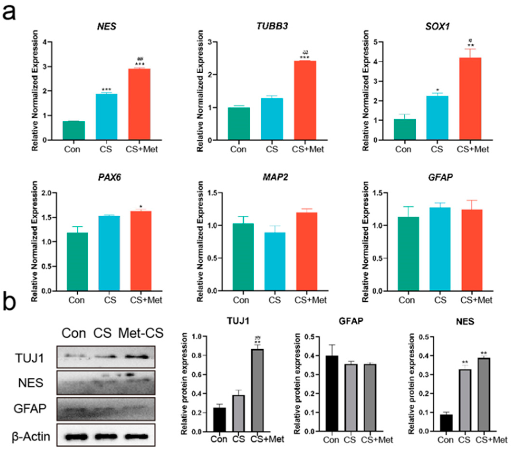 Ijms 23 03276 g005 550