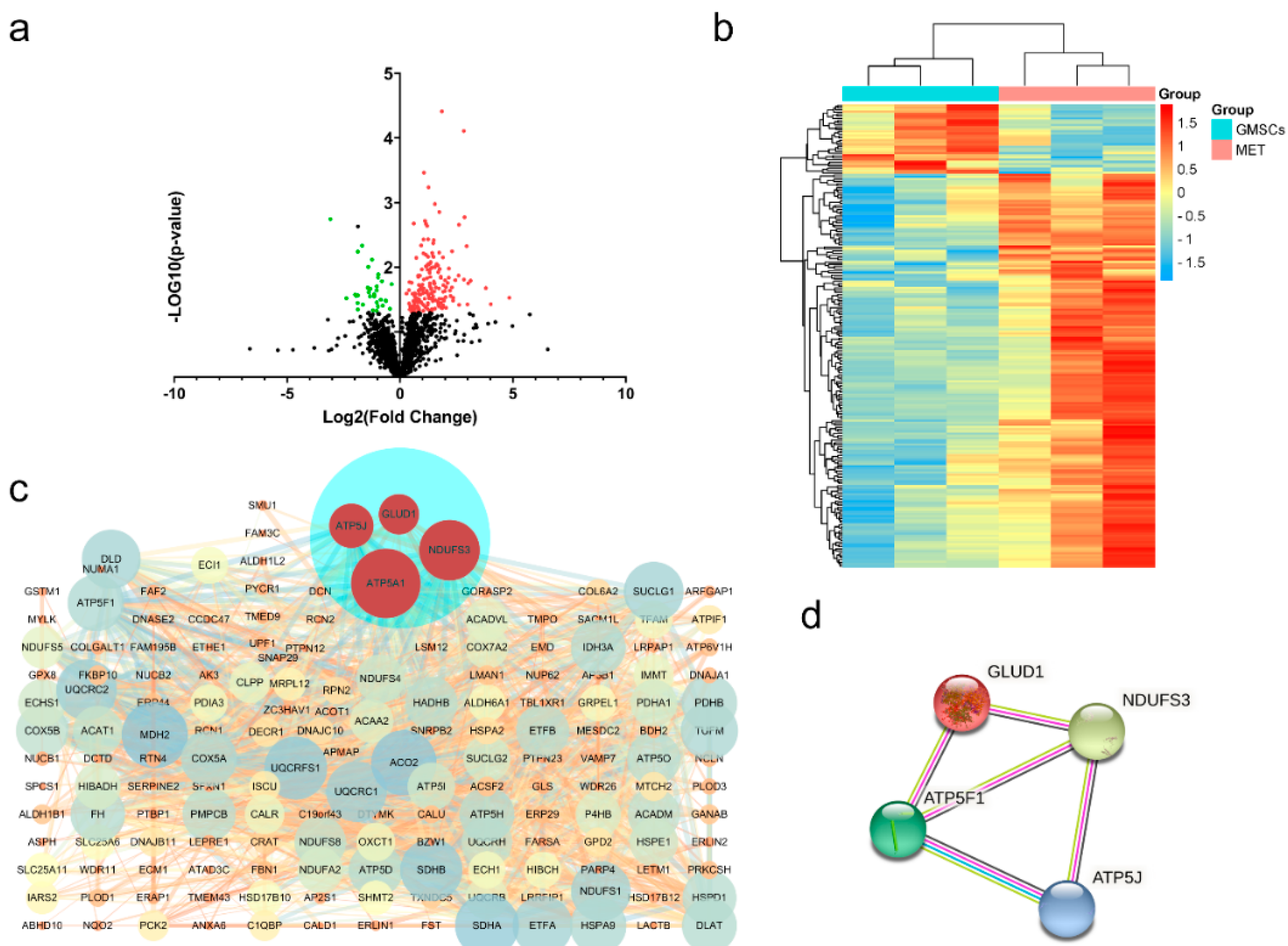 Ijms 23 03276 g006 550