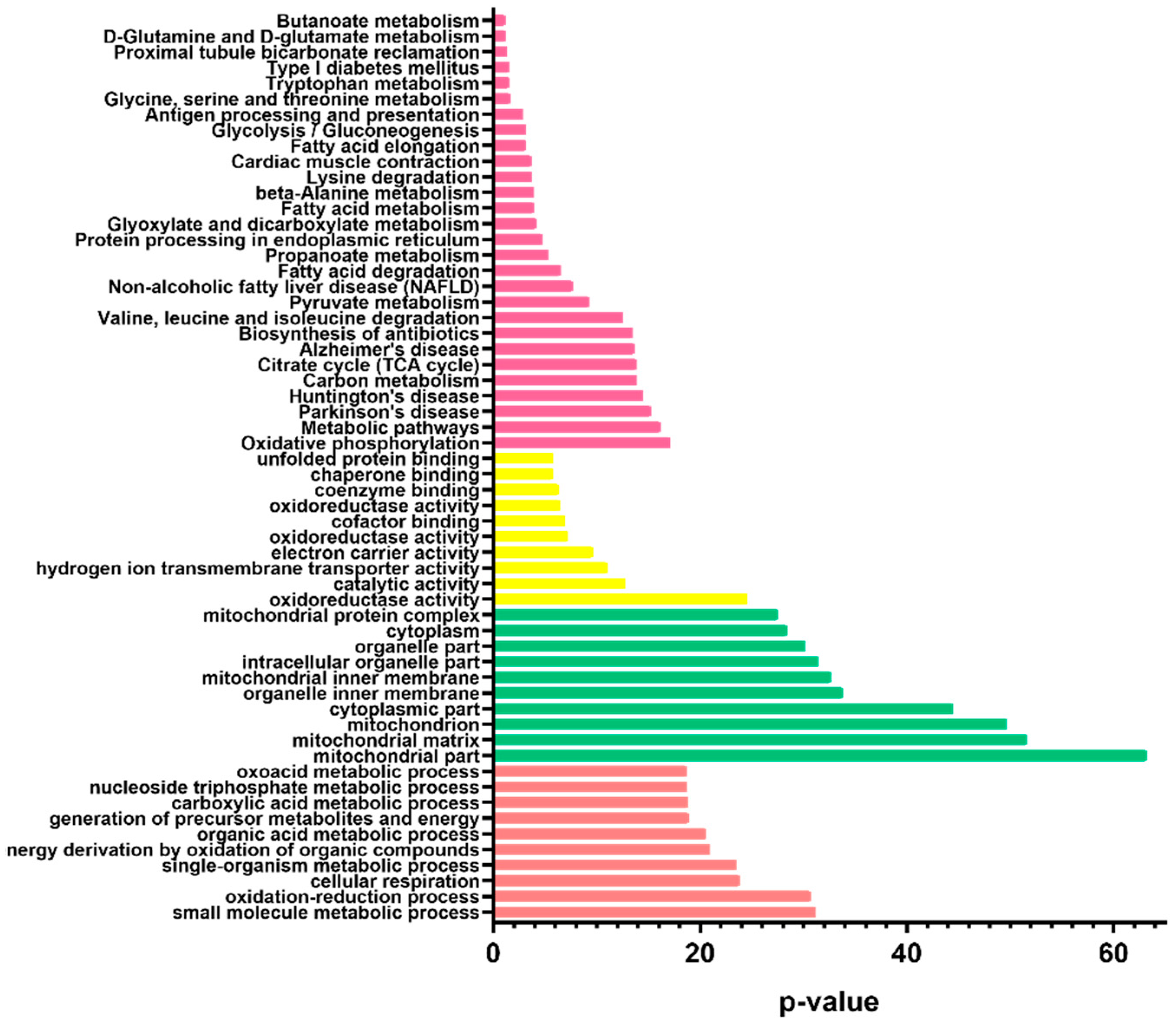 Ijms 23 03276 g007 550