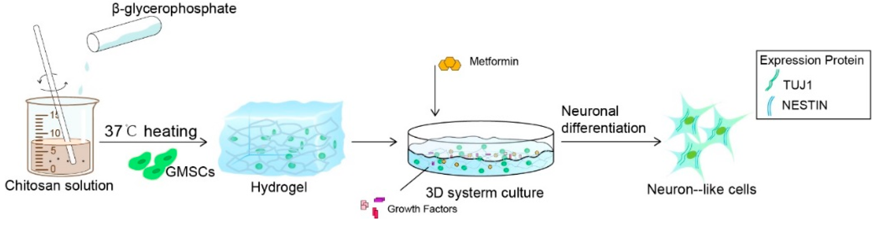 Ijms 23 03276 sch001 550