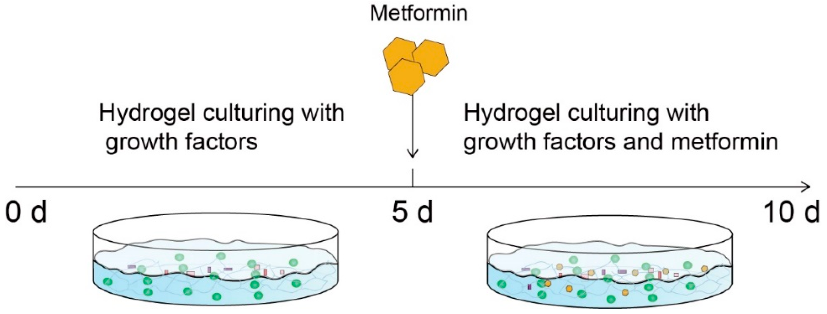 Ijms 23 03276 sch002 550