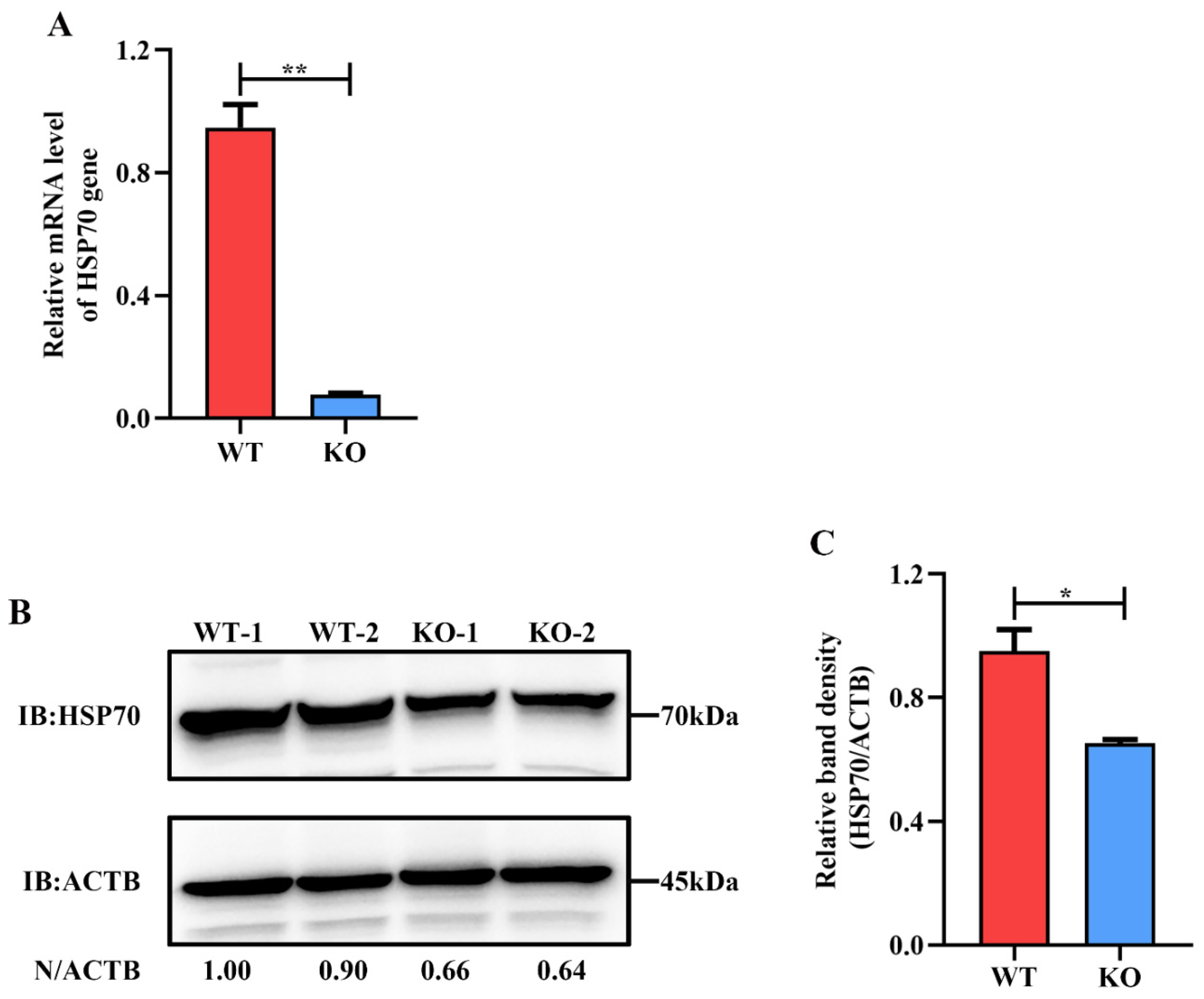 Ijms 23 03280 g002 550