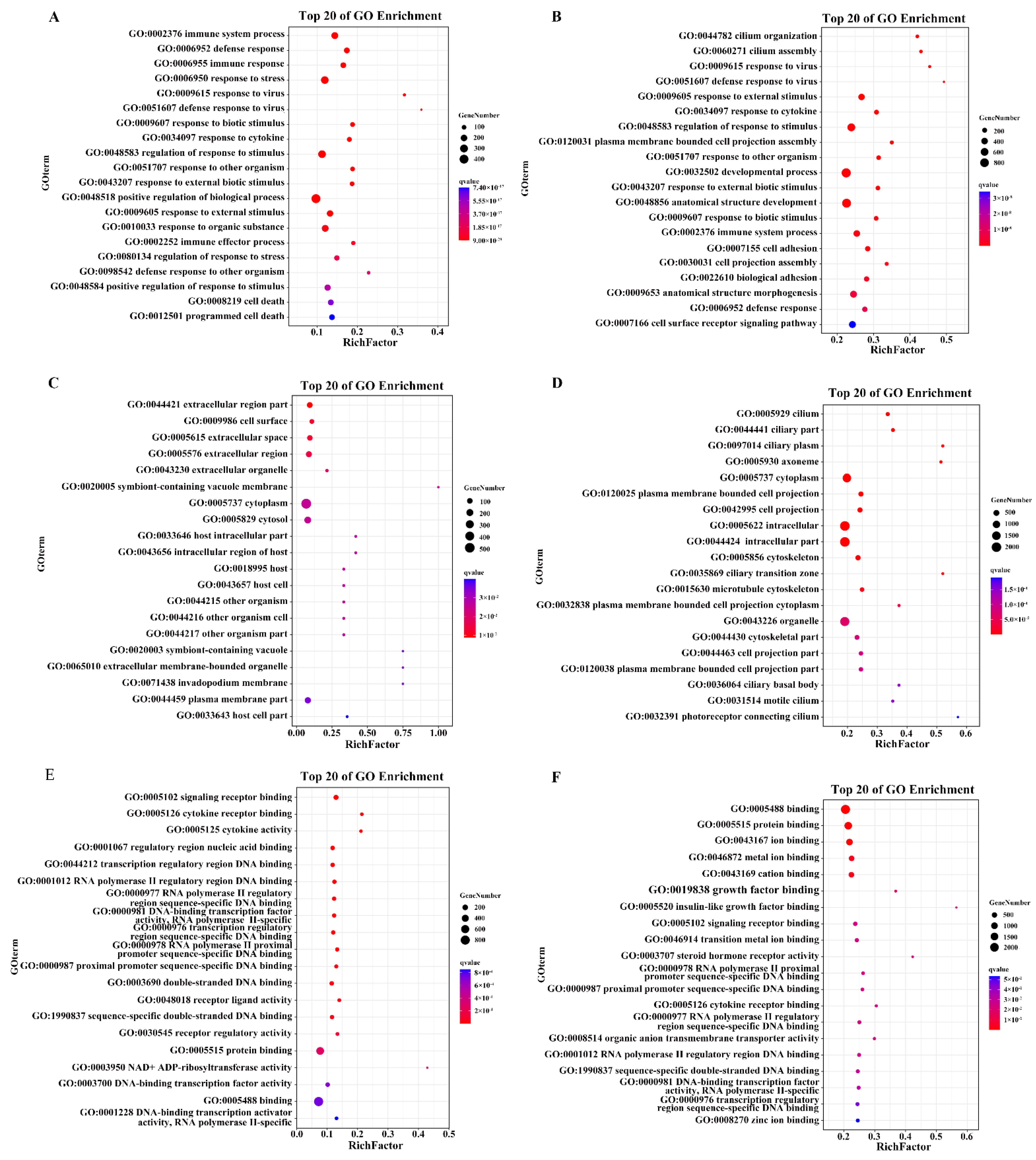 Ijms 23 03280 g005 550