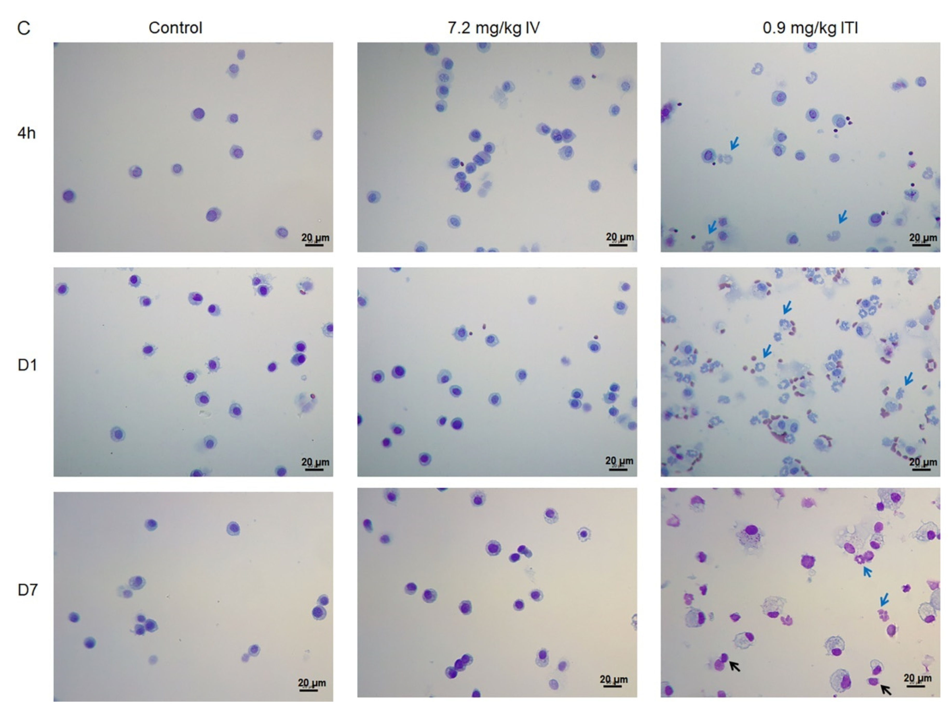 Ijms 23 03289 g003b Ijms 23 03289 g003b