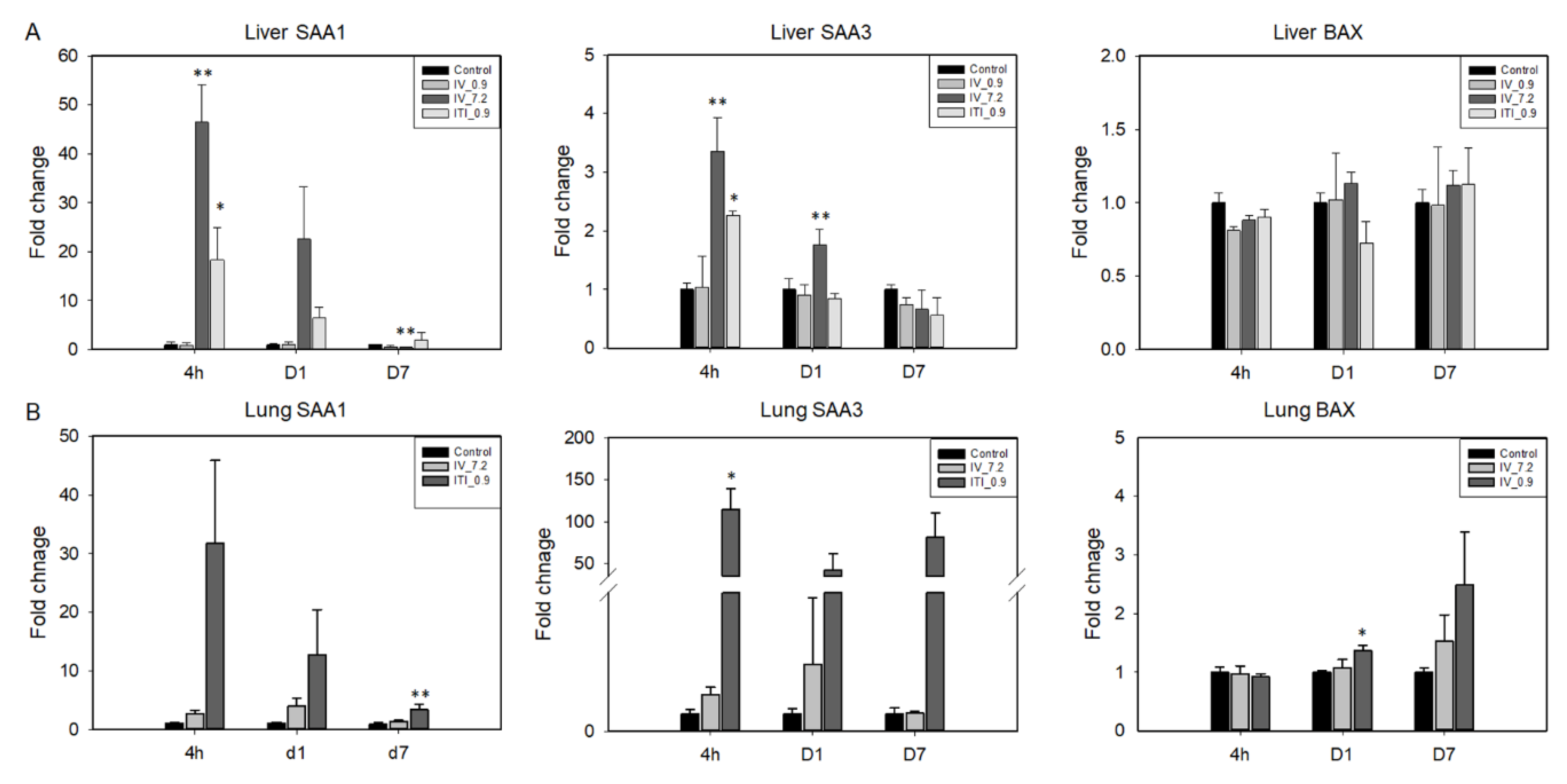 Ijms 23 03289 g006 Ijms 23 03289 g006