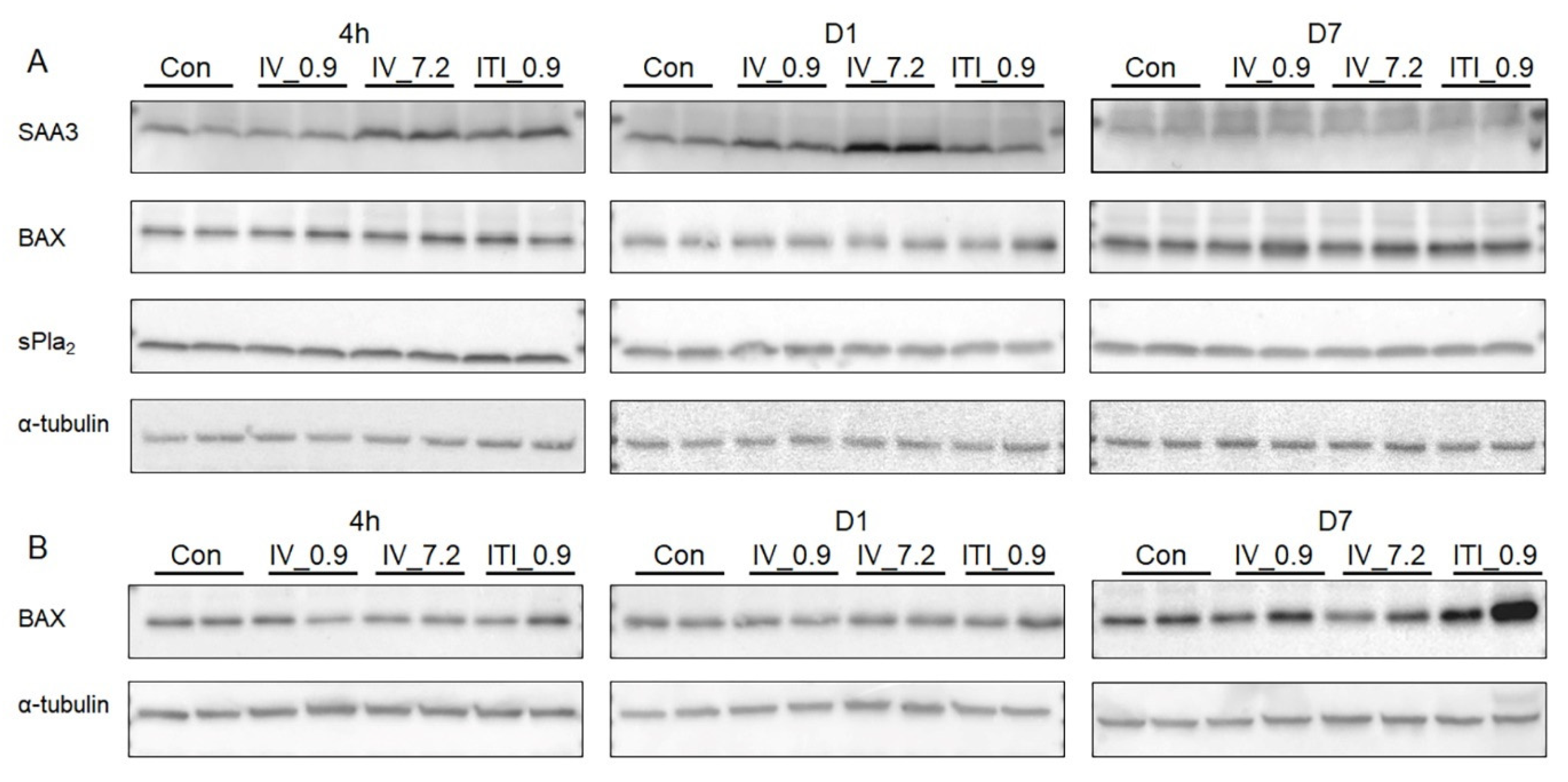 Ijms 23 03289 g007 Ijms 23 03289 g007