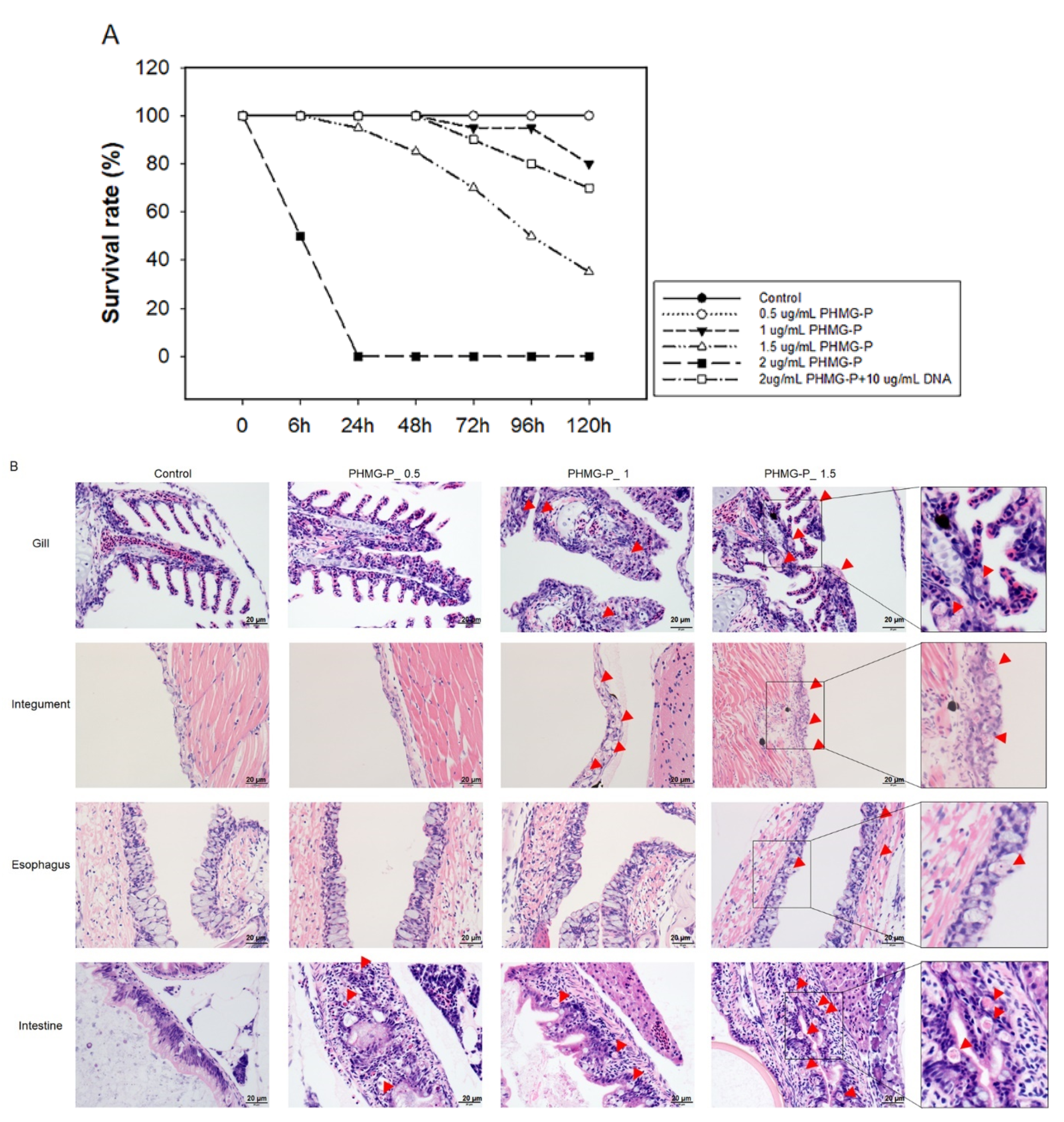Ijms 23 03289 g008 Ijms 23 03289 g008