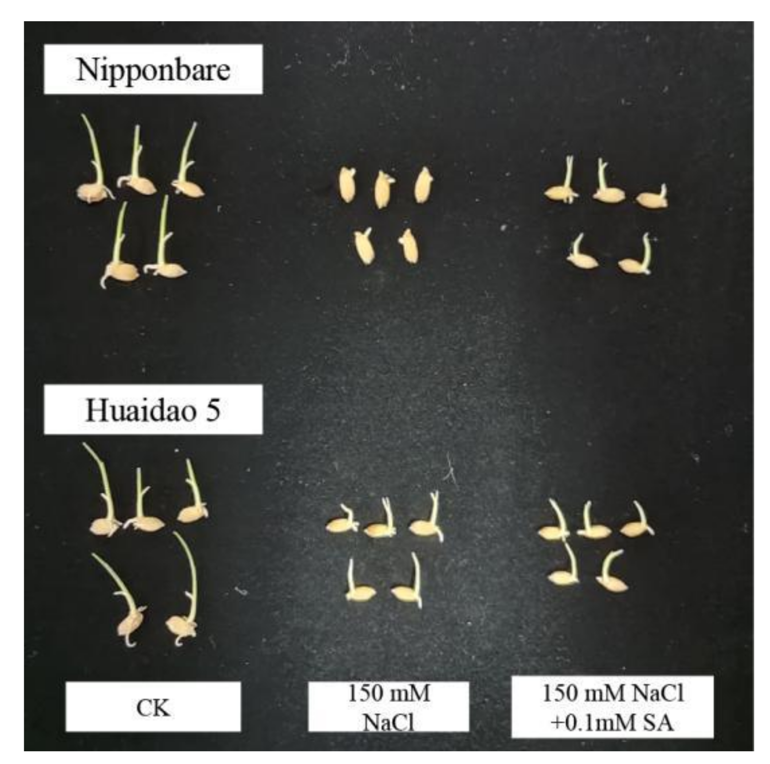 Ijms 23 03293 g002 550