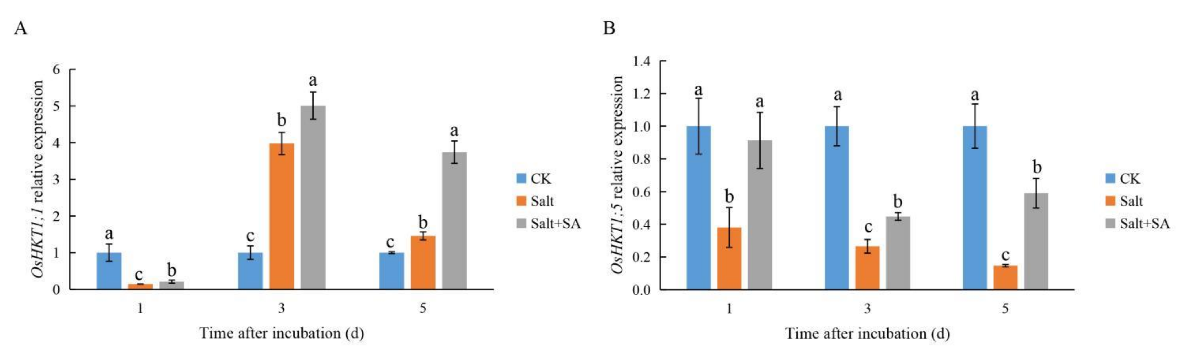 Ijms 23 03293 g004 550