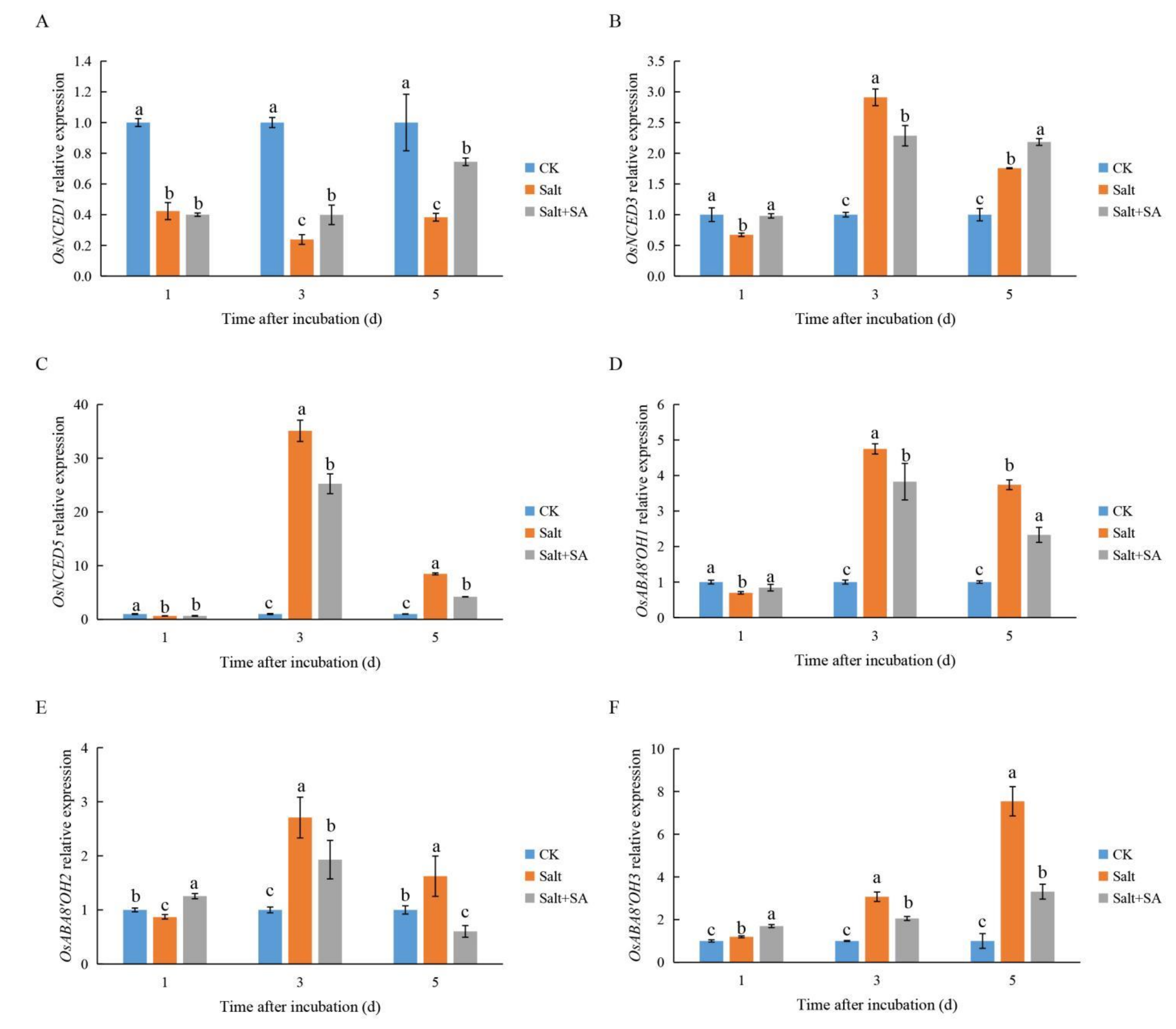 Ijms 23 03293 g009 550