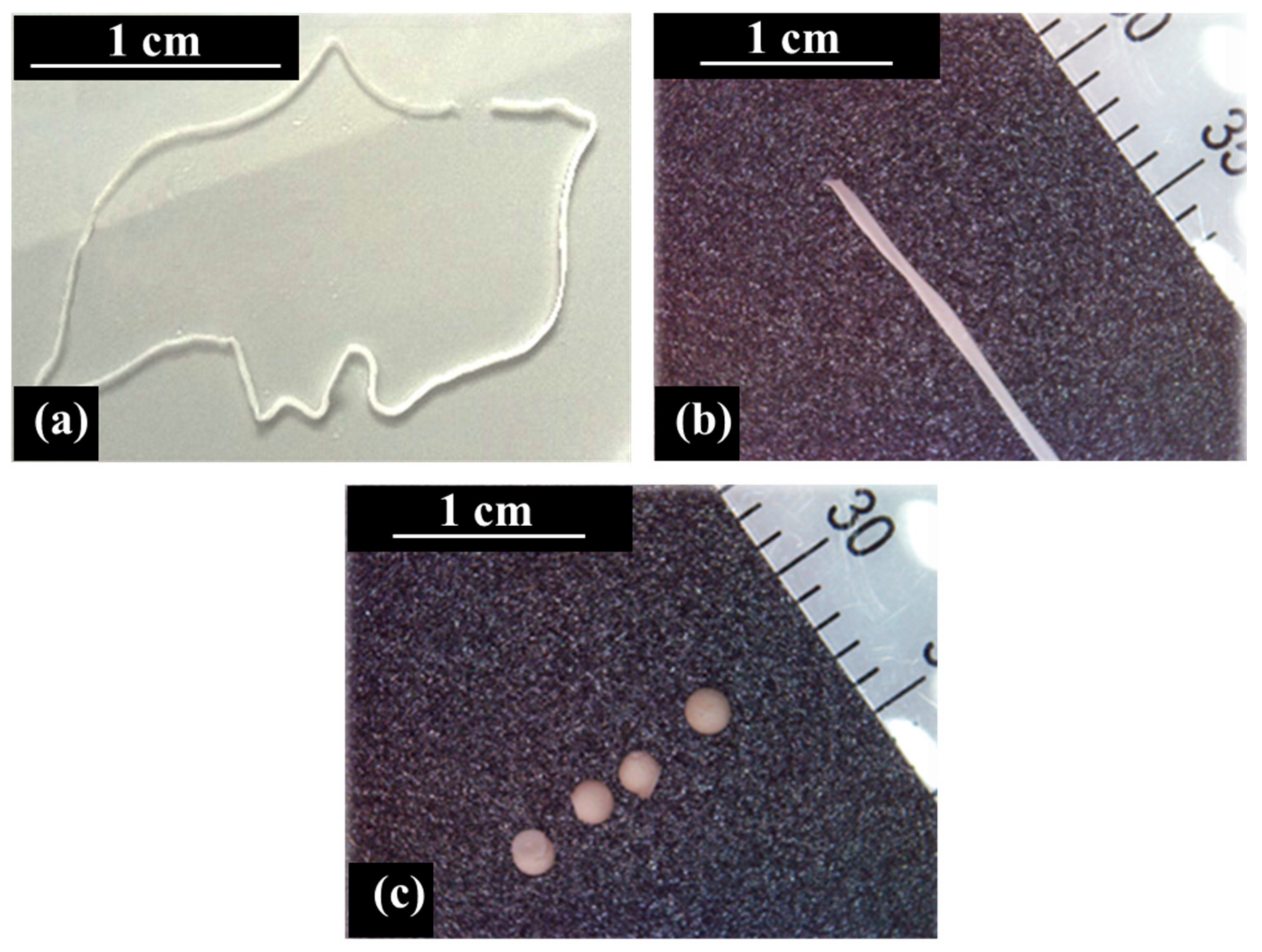 Ijms 23 03294 g002 550