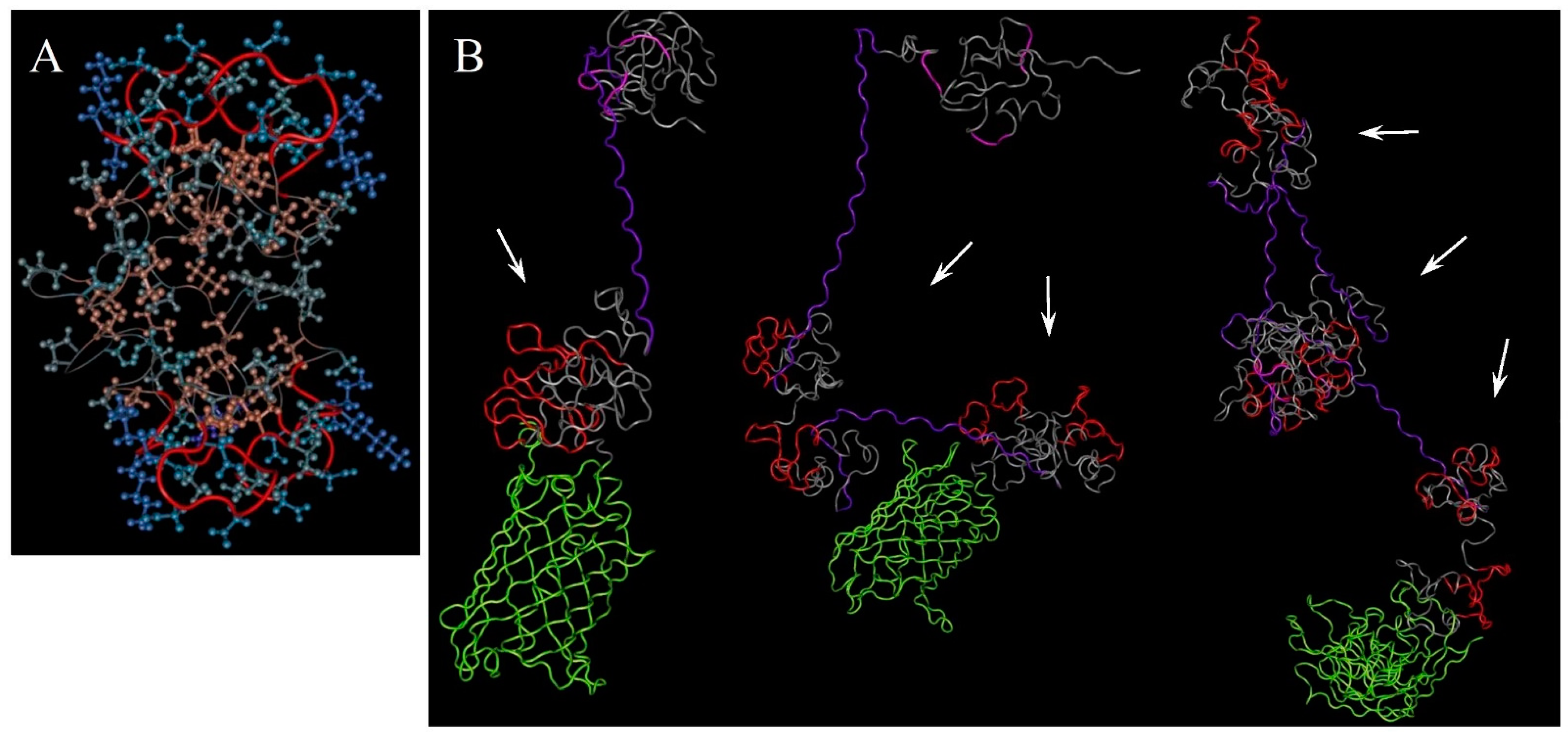 Ijms 23 03297 g002 Ijms 23 03297 g002
