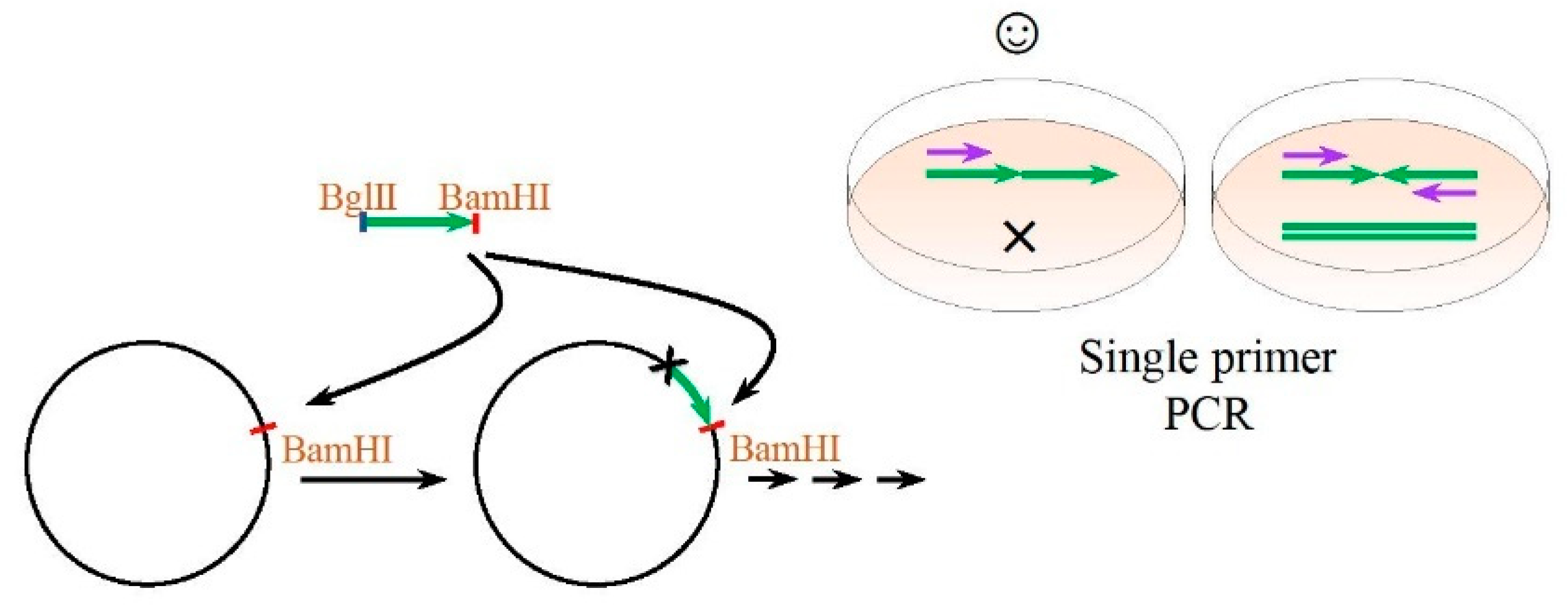 Ijms 23 03297 g003 Ijms 23 03297 g003