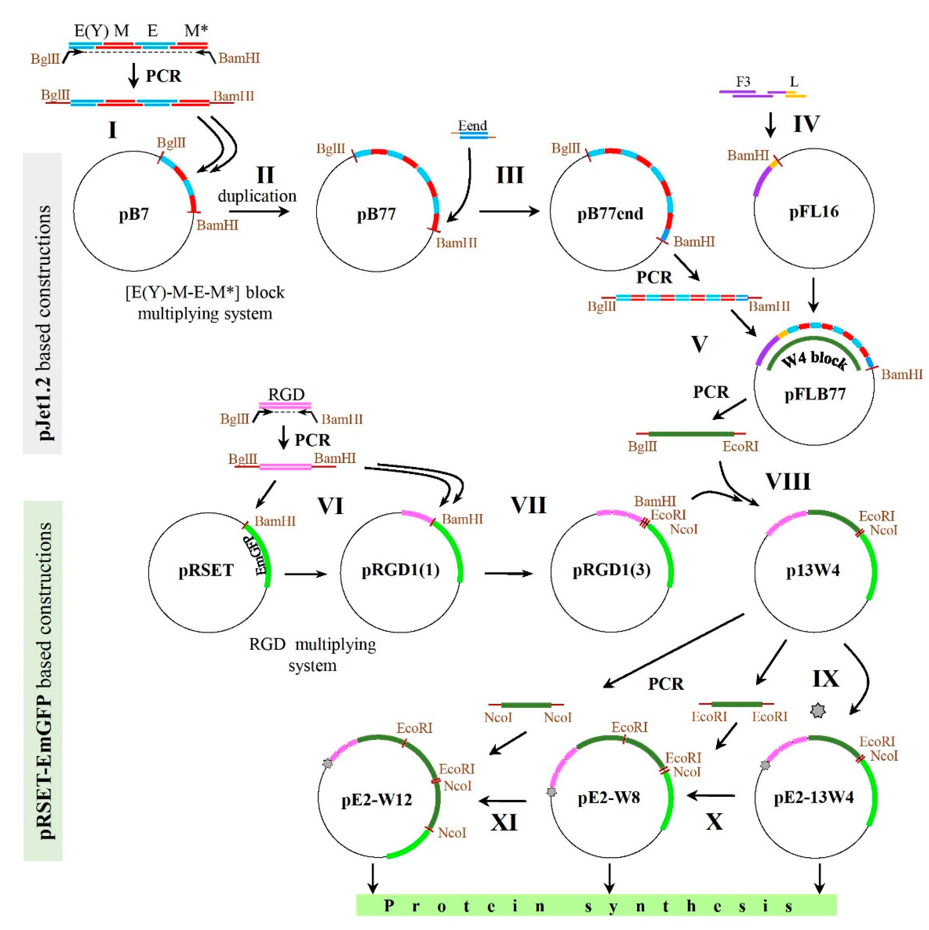 Ijms 23 03297 g004 Ijms 23 03297 g004