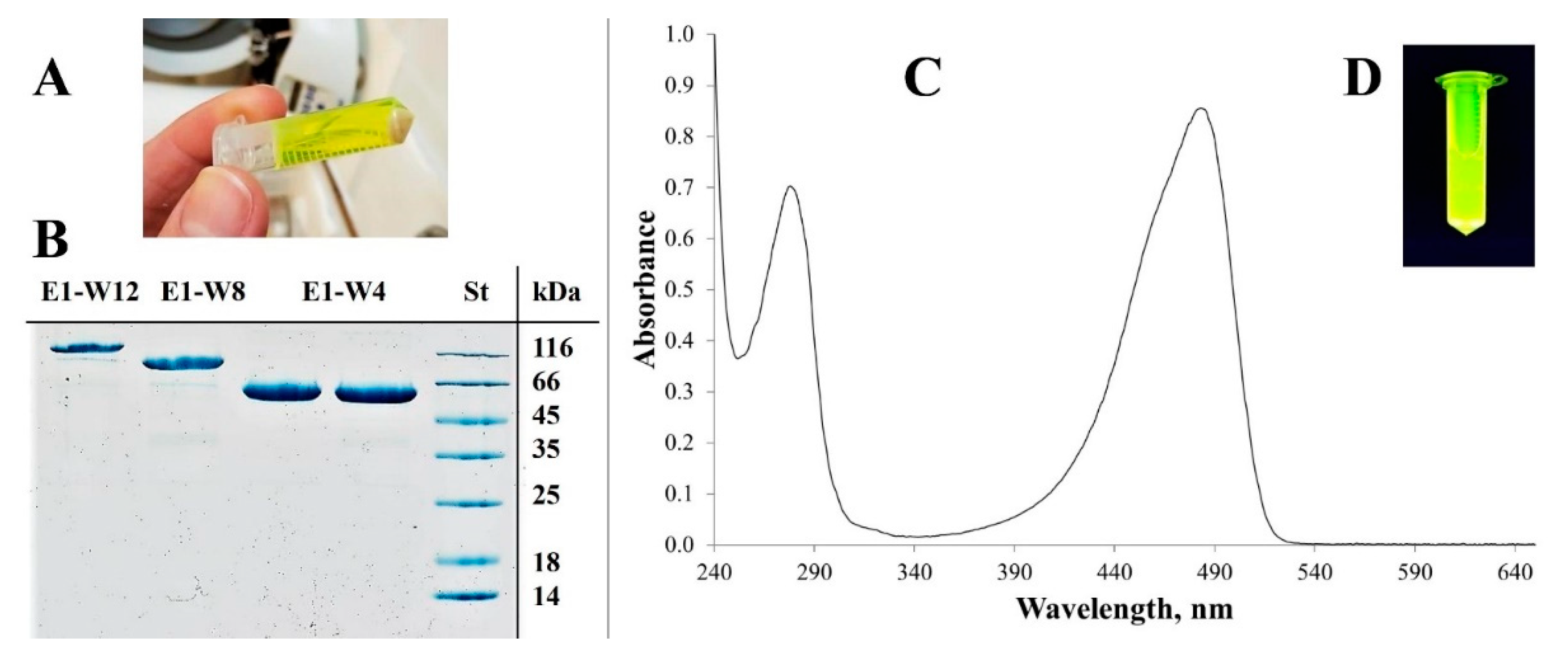 Ijms 23 03297 g005 Ijms 23 03297 g005