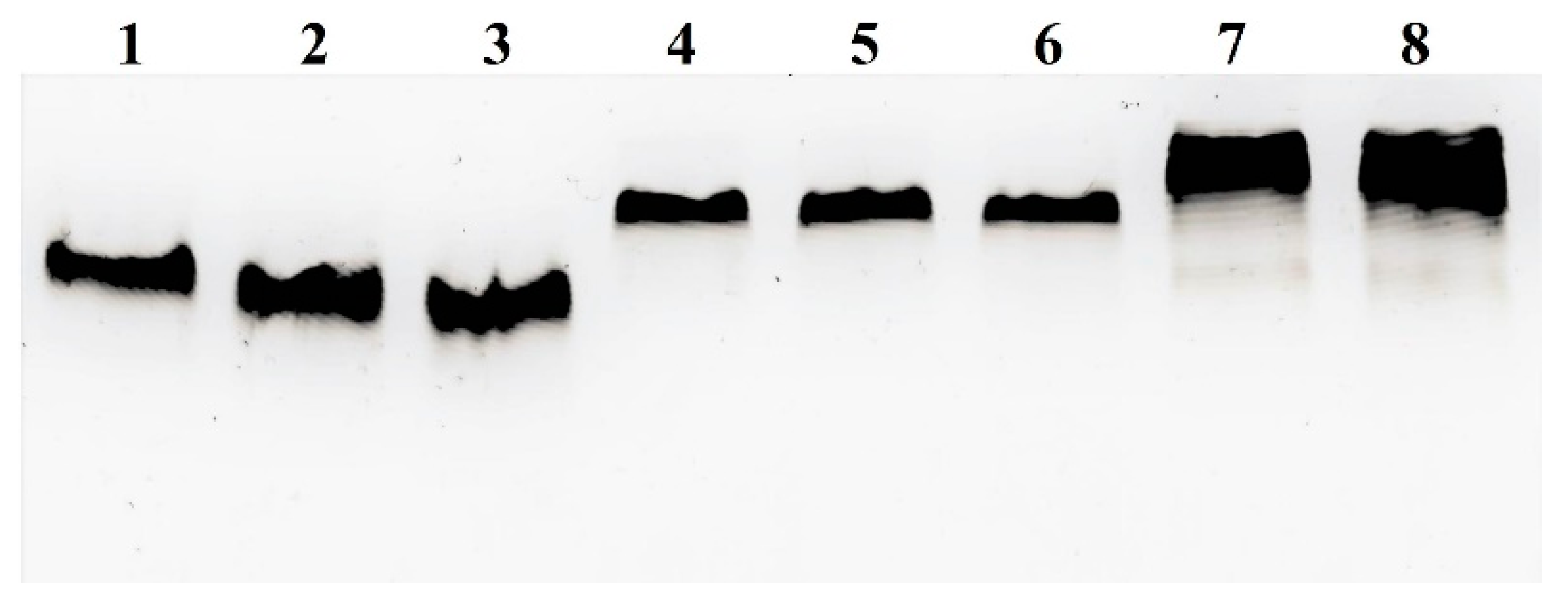 Ijms 23 03297 g009 Ijms 23 03297 g009