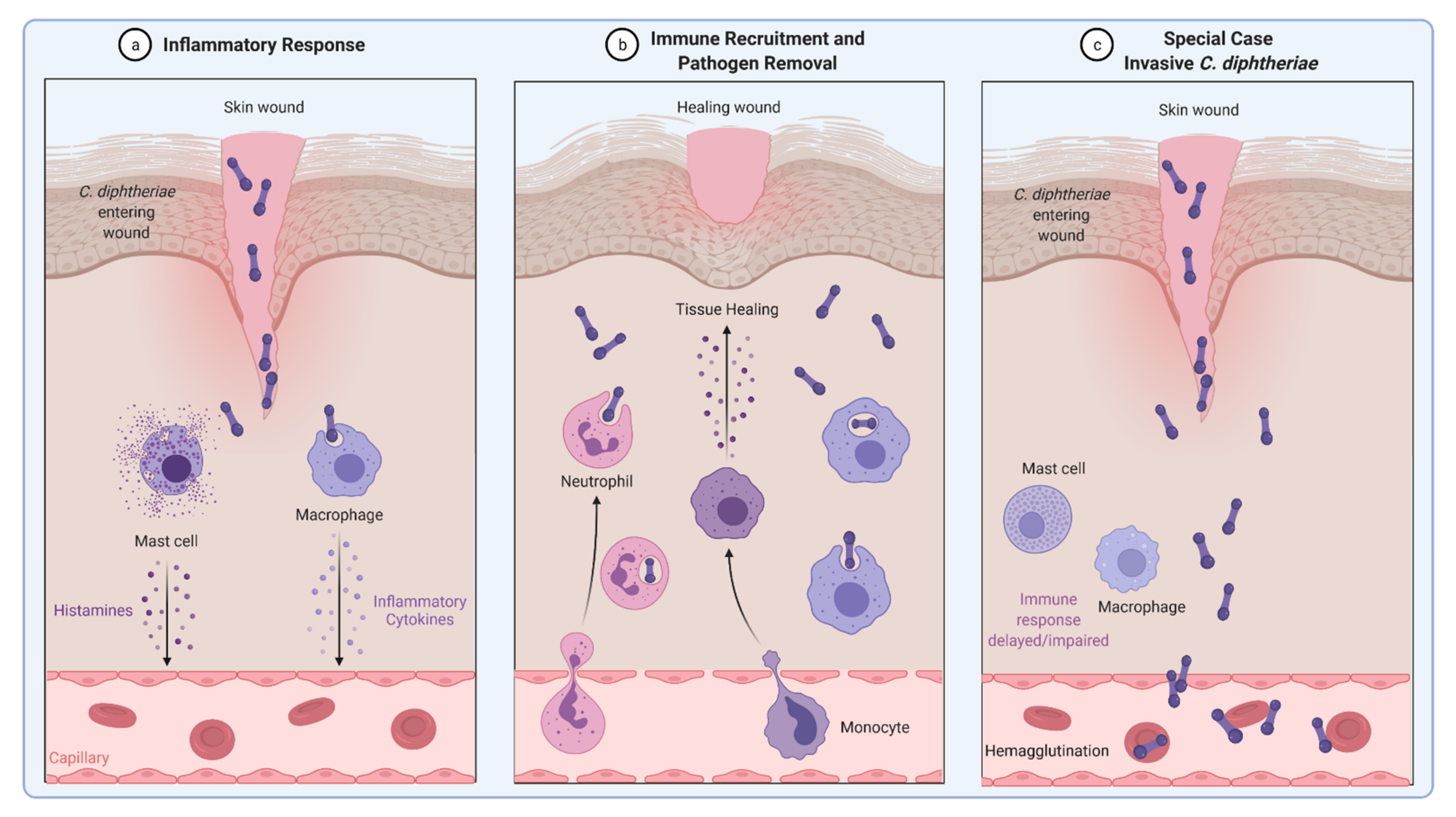 Ijms 23 03298 g003 Ijms 23 03298 g003